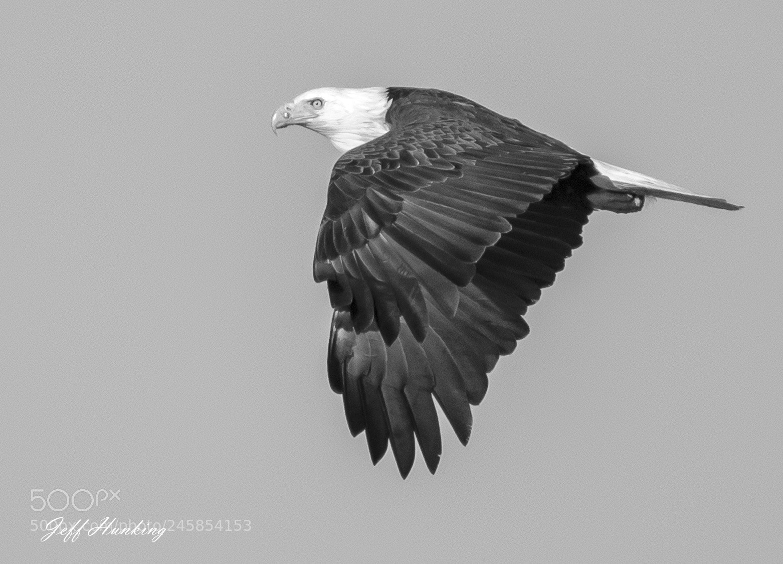 Canon EOS 7D Mark II sample photo. Black and white beauty photography