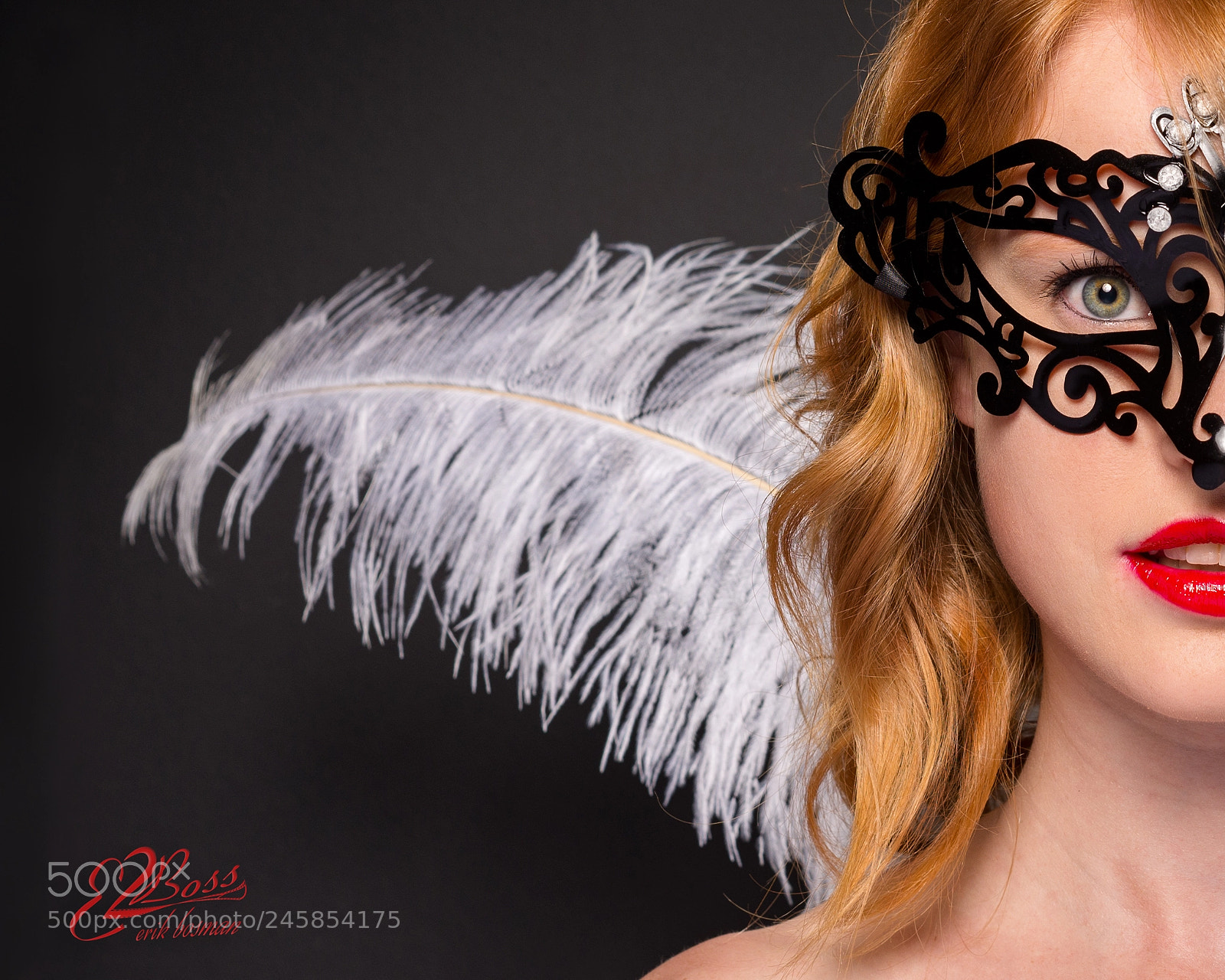 Nikon D610 sample photo. Half masked photography