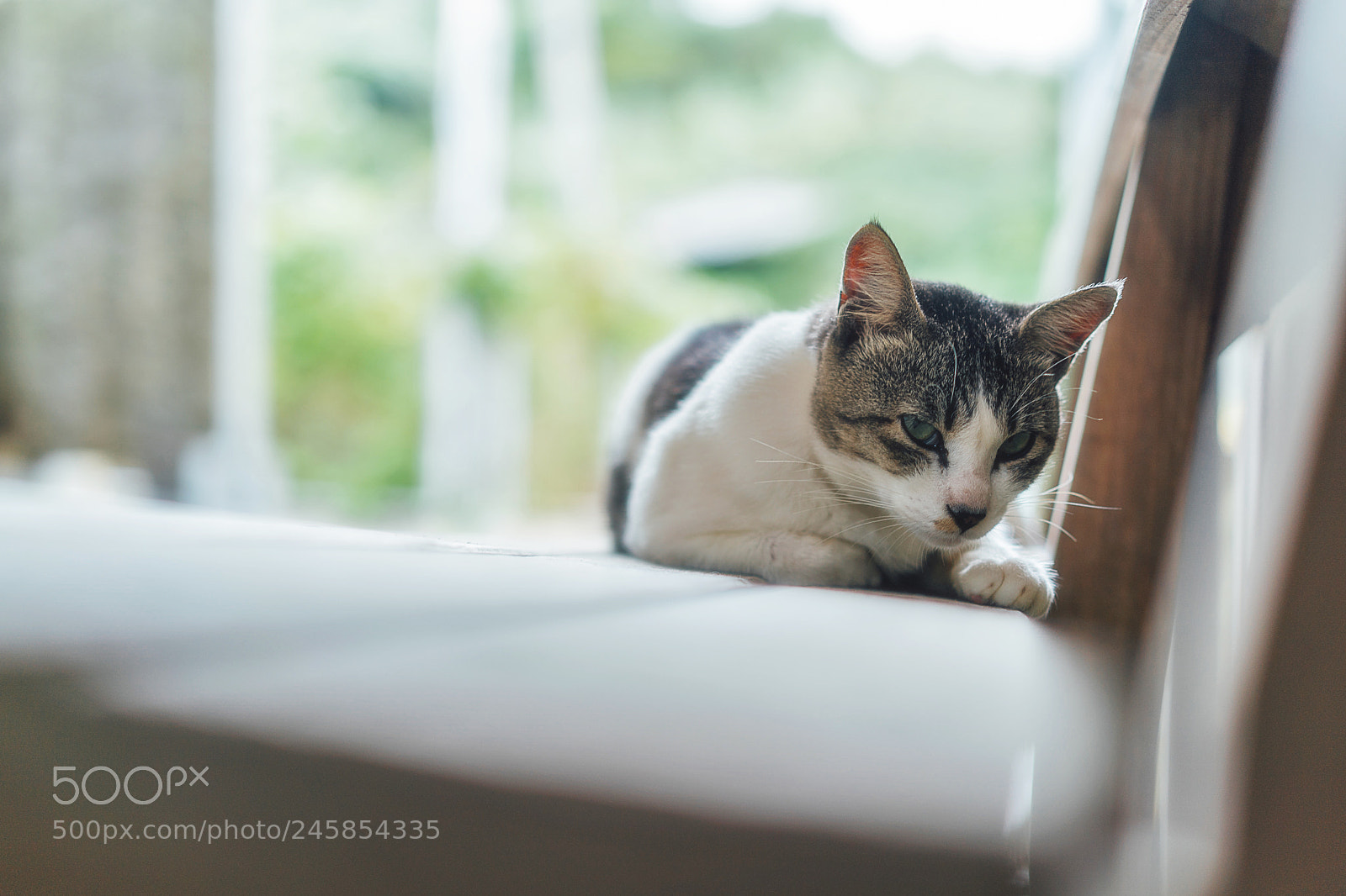 Sony a9 sample photo. What are you looking photography