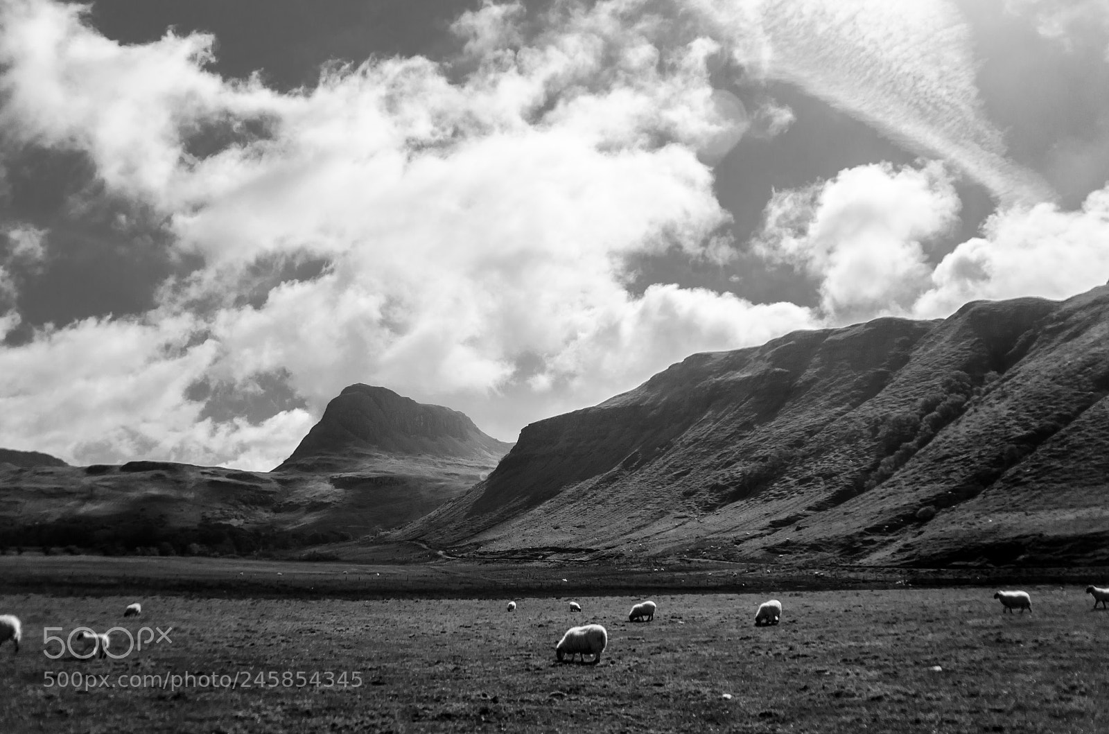 Nikon D5100 sample photo. Skye2 photography