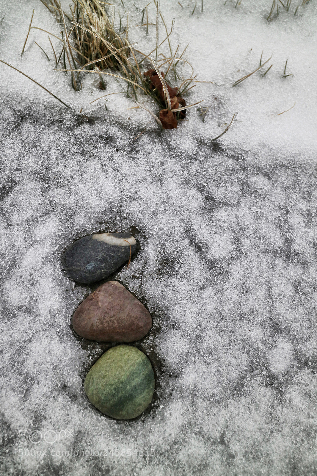 Canon EOS M3 sample photo. Untitled photography