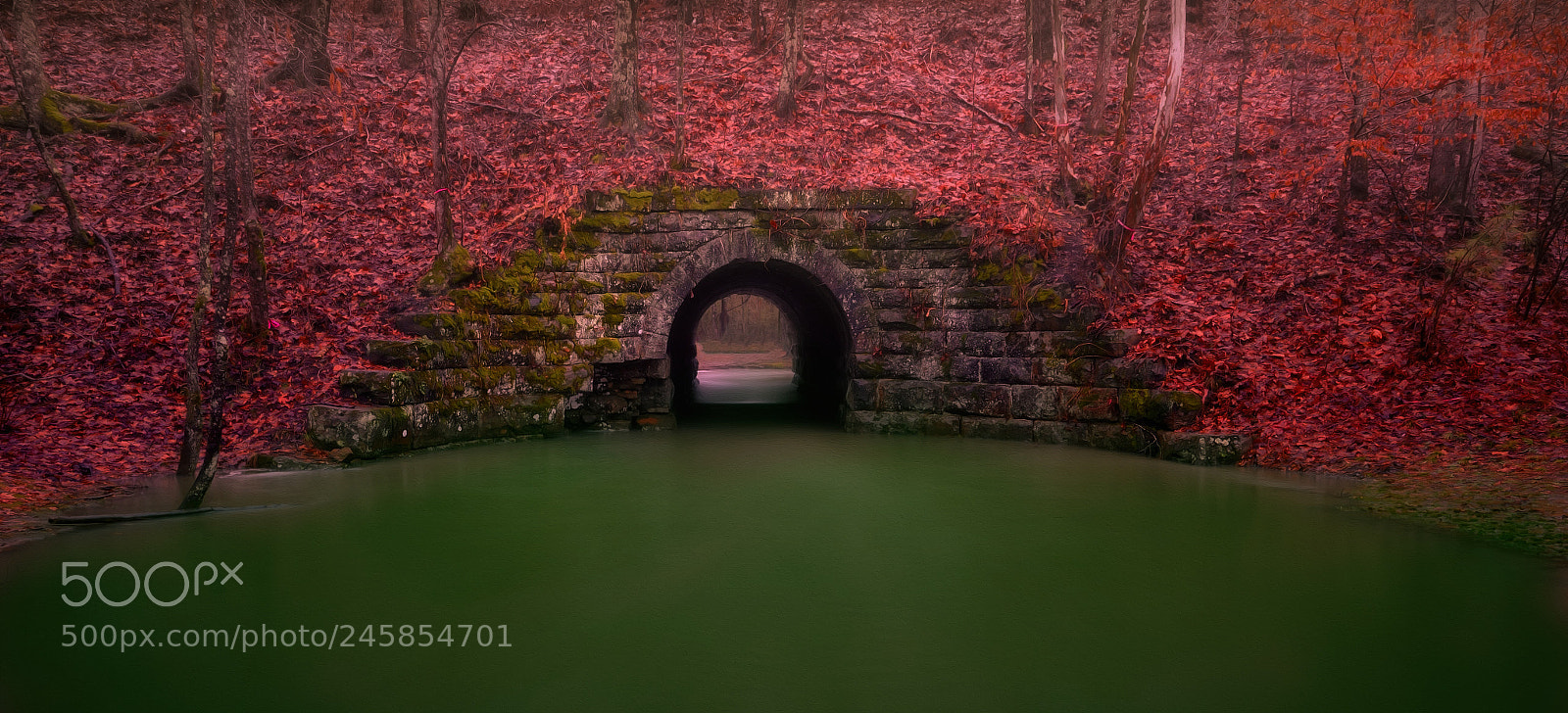 Sony a7R II sample photo. Stream at ross bridge photography