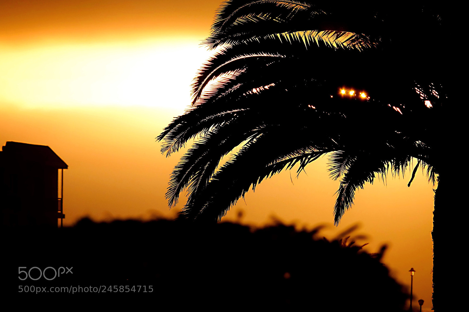 Sony Cyber-shot DSC-RX10 III sample photo. Sunset on the coast photography