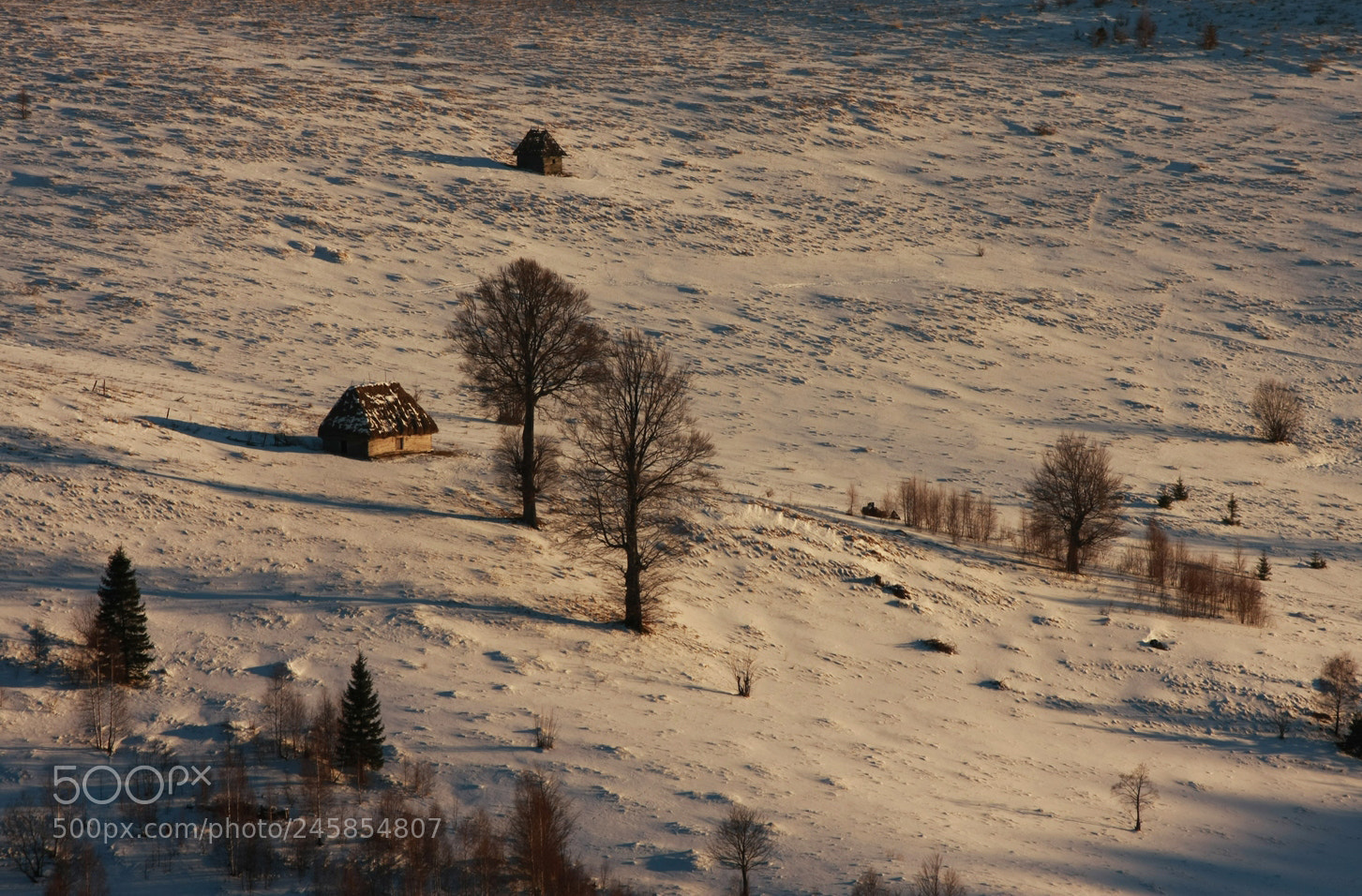 Canon EOS 40D sample photo. Winter details photography
