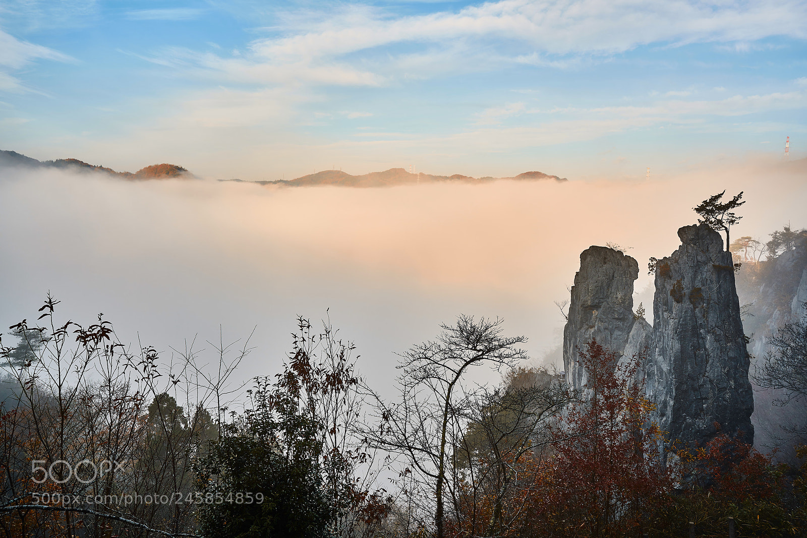 Sony a7R II sample photo. Morning photography