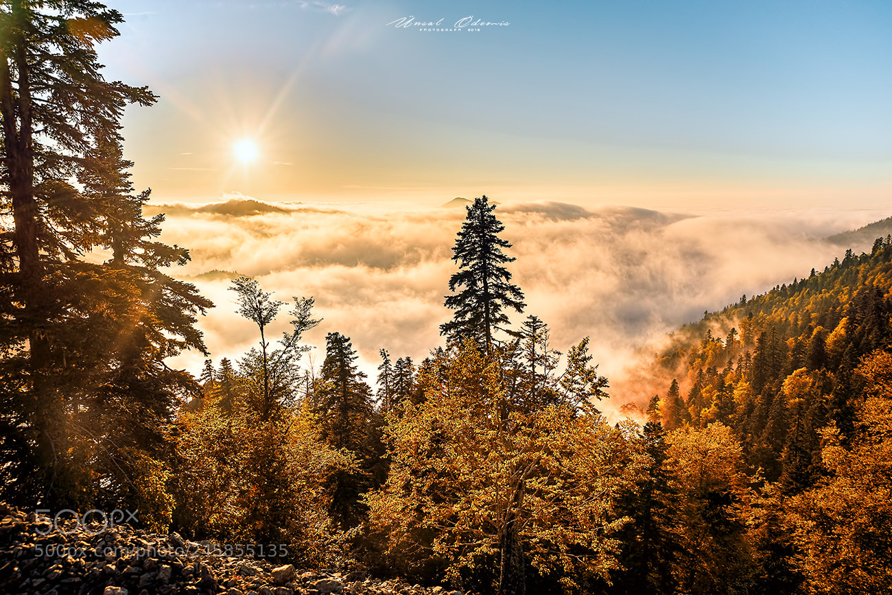Nikon D610 sample photo. High altitudes 10 photography