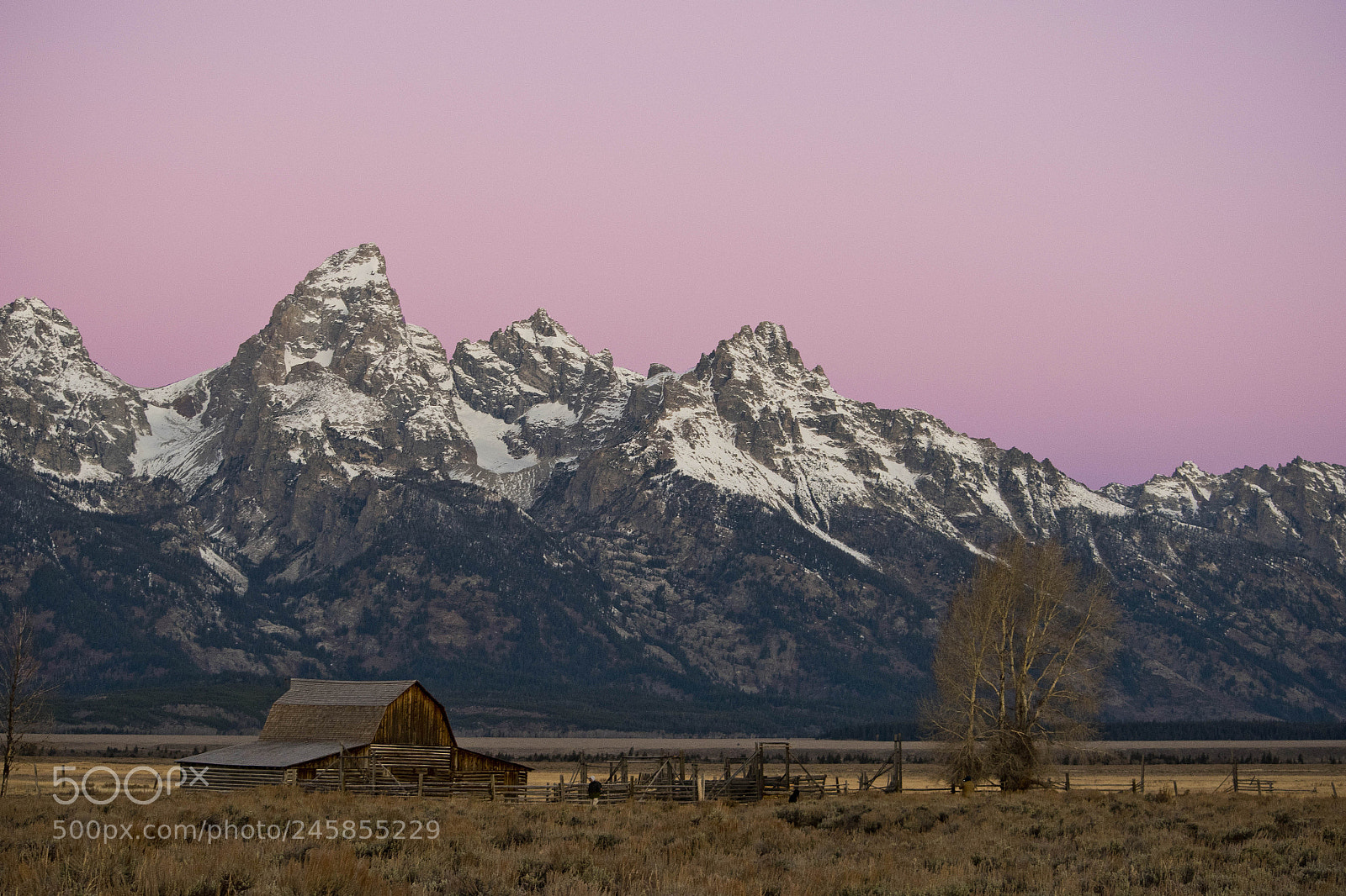 Nikon D810 sample photo. Mormon row barn photography