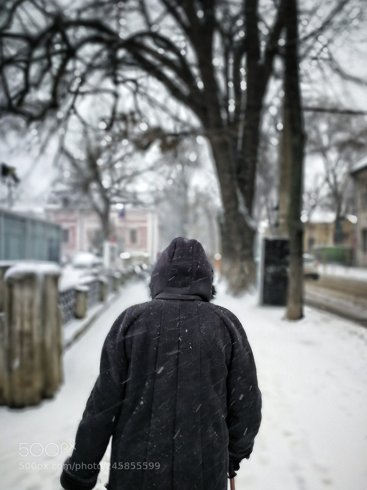 HUAWEI P10 sample photo. January 2018 photography