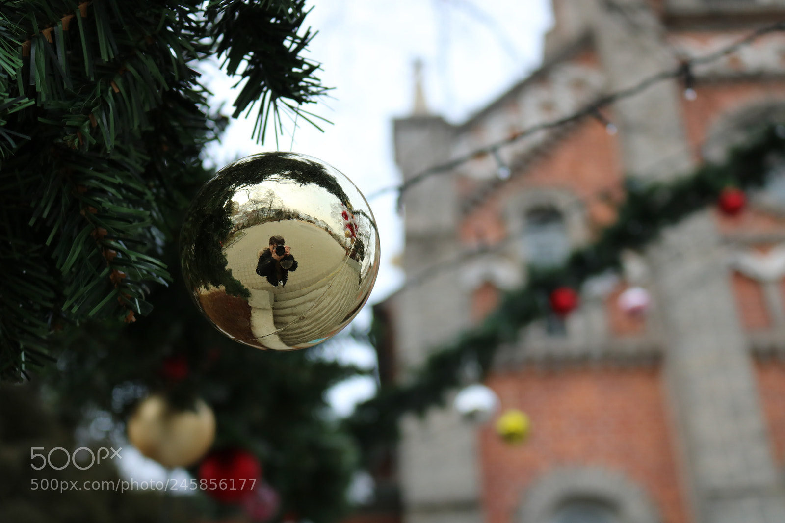Canon EOS 750D (EOS Rebel T6i / EOS Kiss X8i) sample photo. Untitled photography