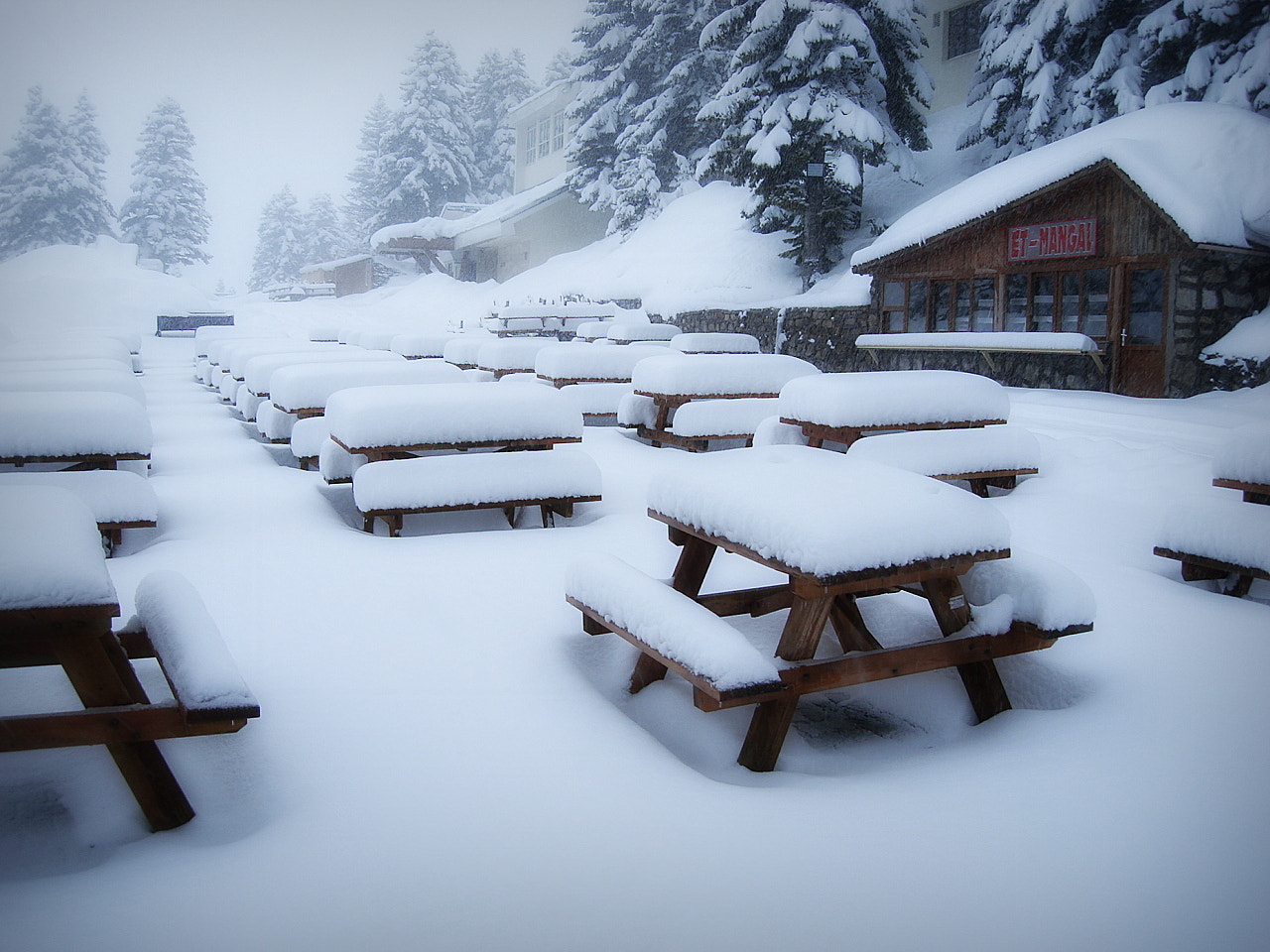 Sony DSC-N1 sample photo. Snow - winter ... photography