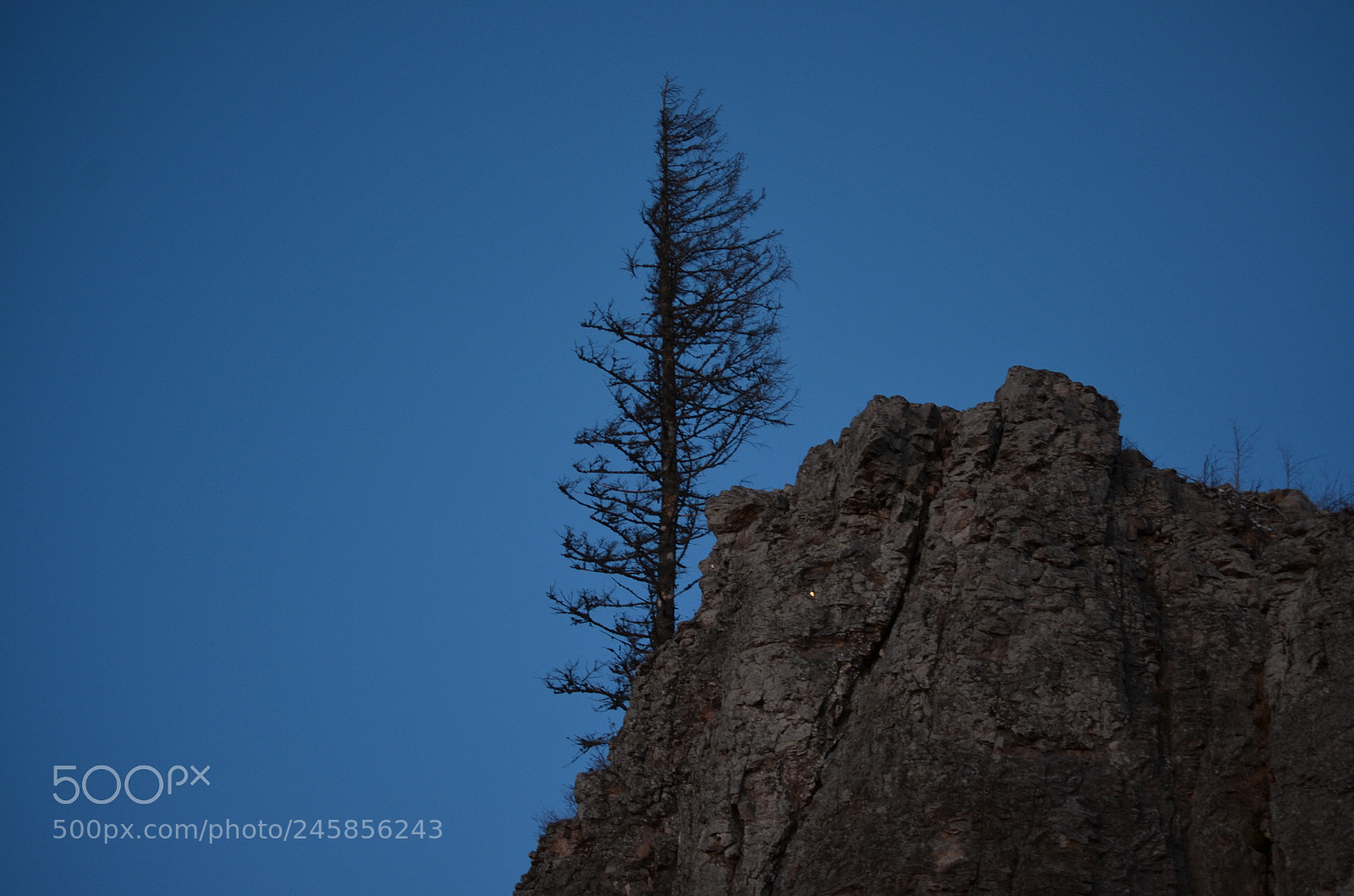 Nikon D5100 sample photo. Untitled photography