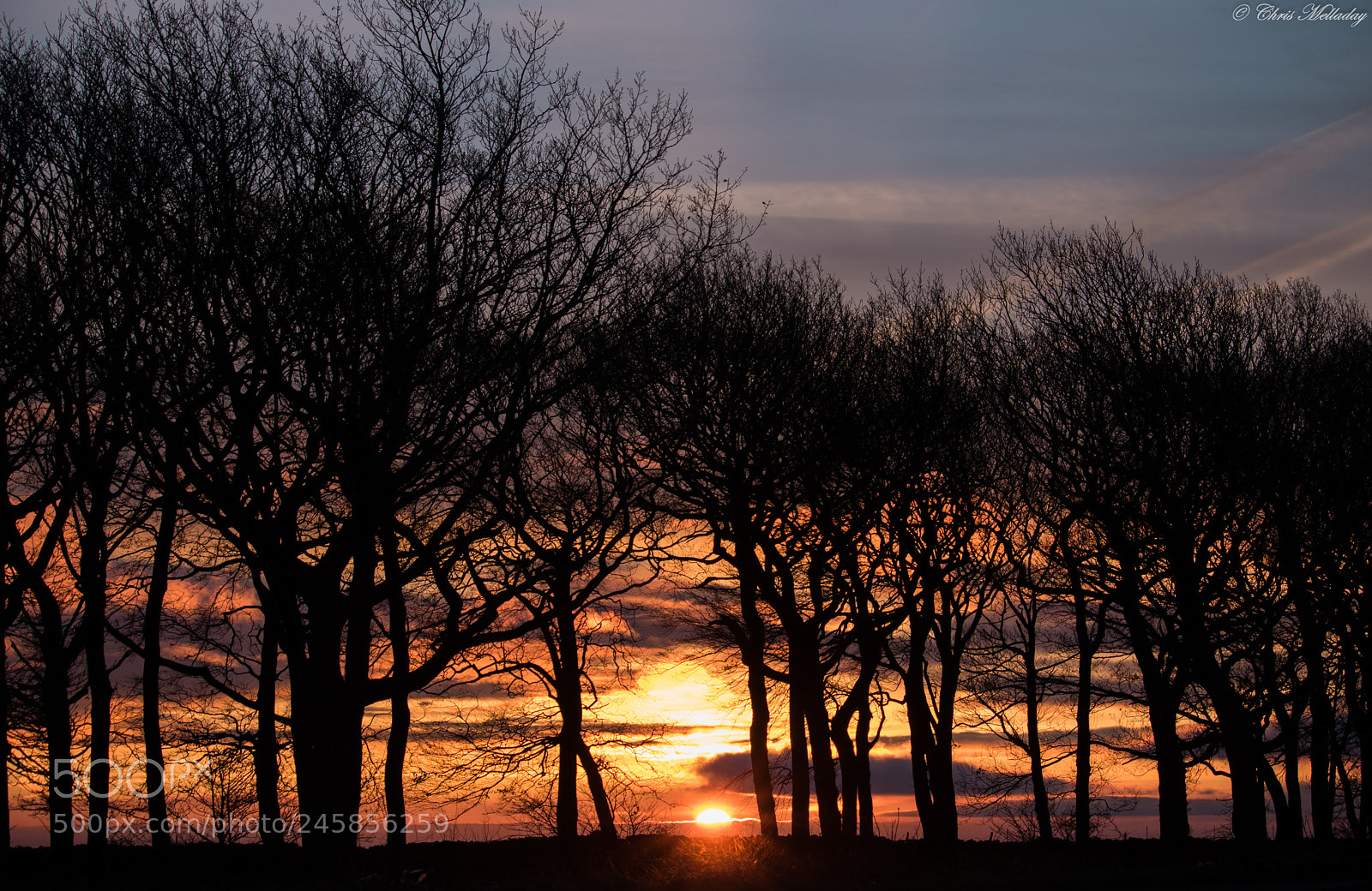 Canon EOS 750D (EOS Rebel T6i / EOS Kiss X8i) sample photo. Sunrise photography