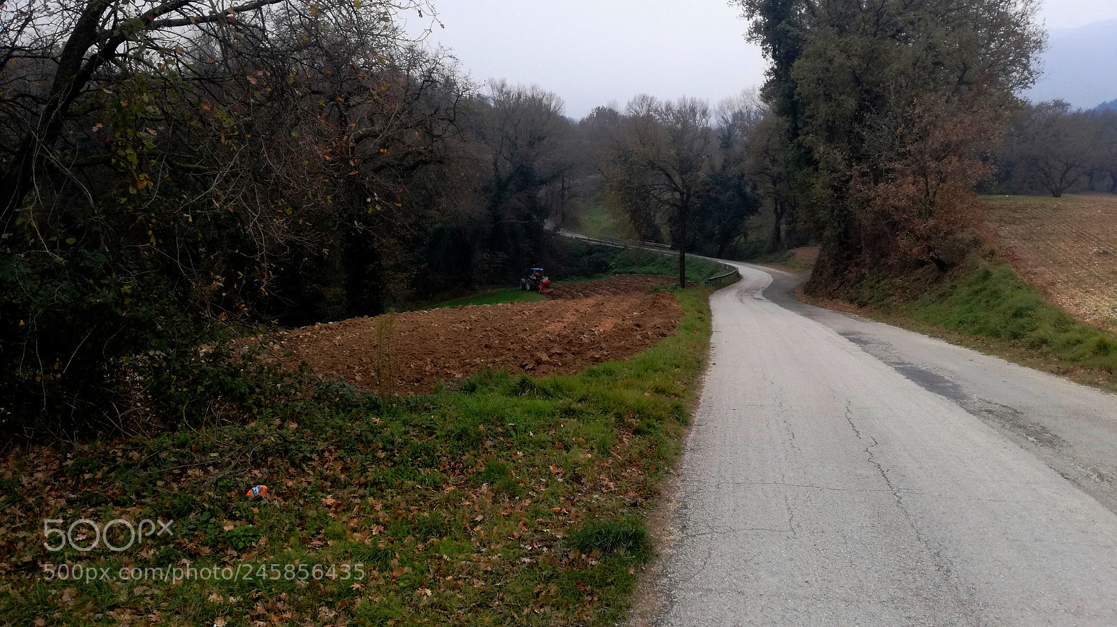 HUAWEI P9 LITE sample photo. Street photography