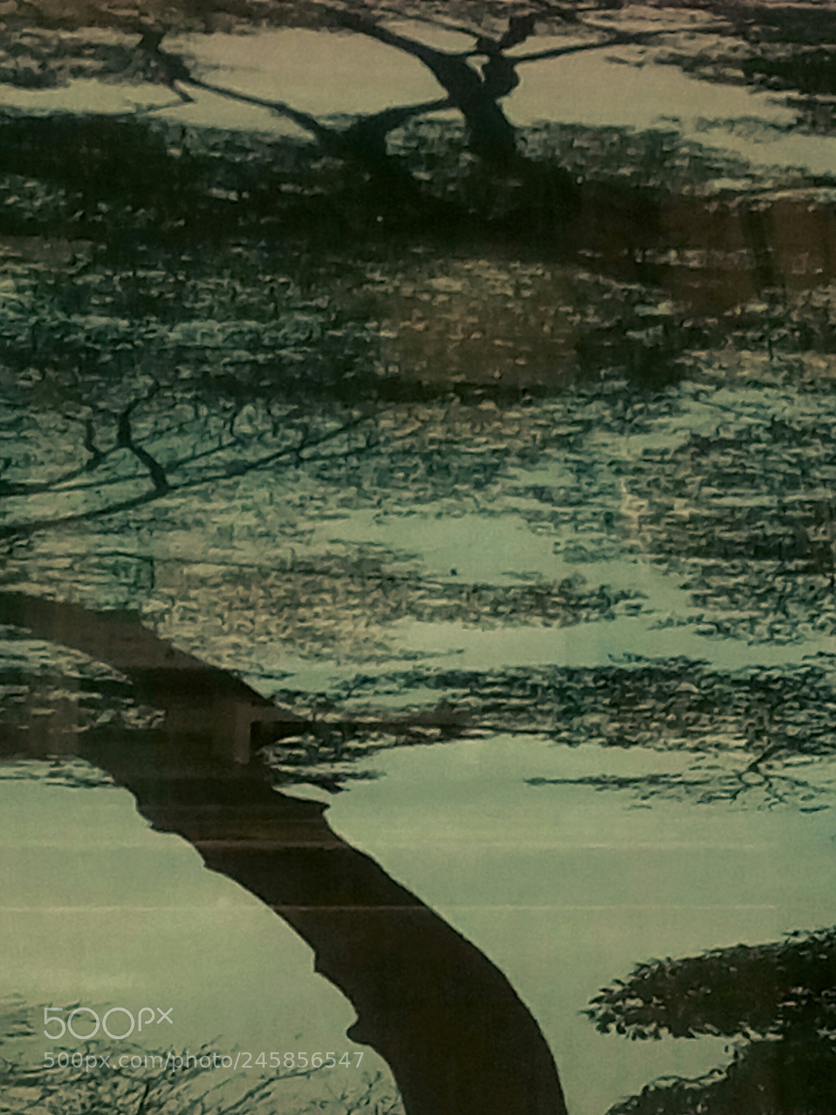 HTC D728X sample photo. Untitled photography