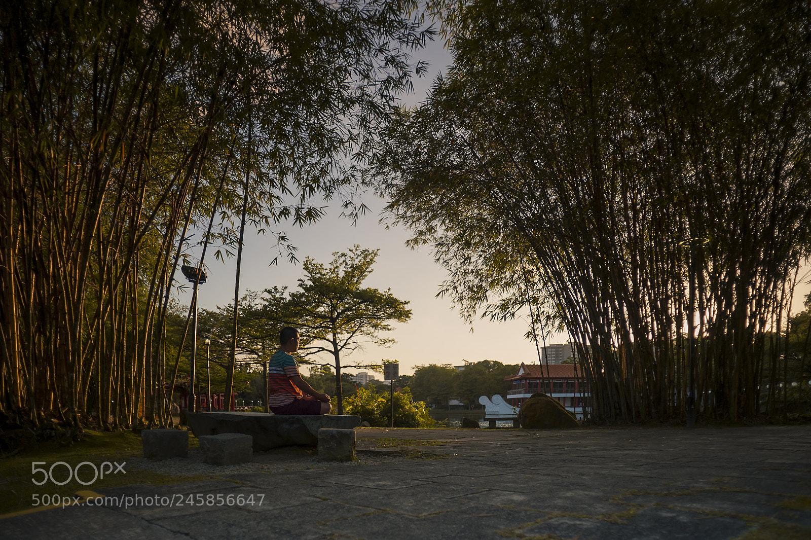 Nikon D700 sample photo. Sunset photography