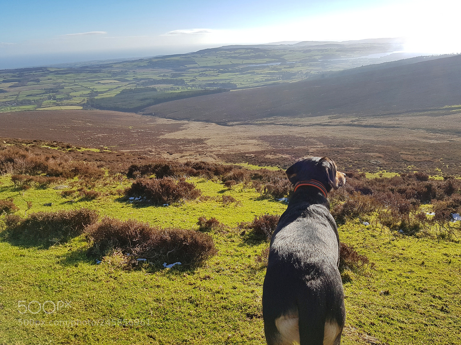 Samsung Galaxy S7 Edge sample photo. Rear-end of wicklow photography