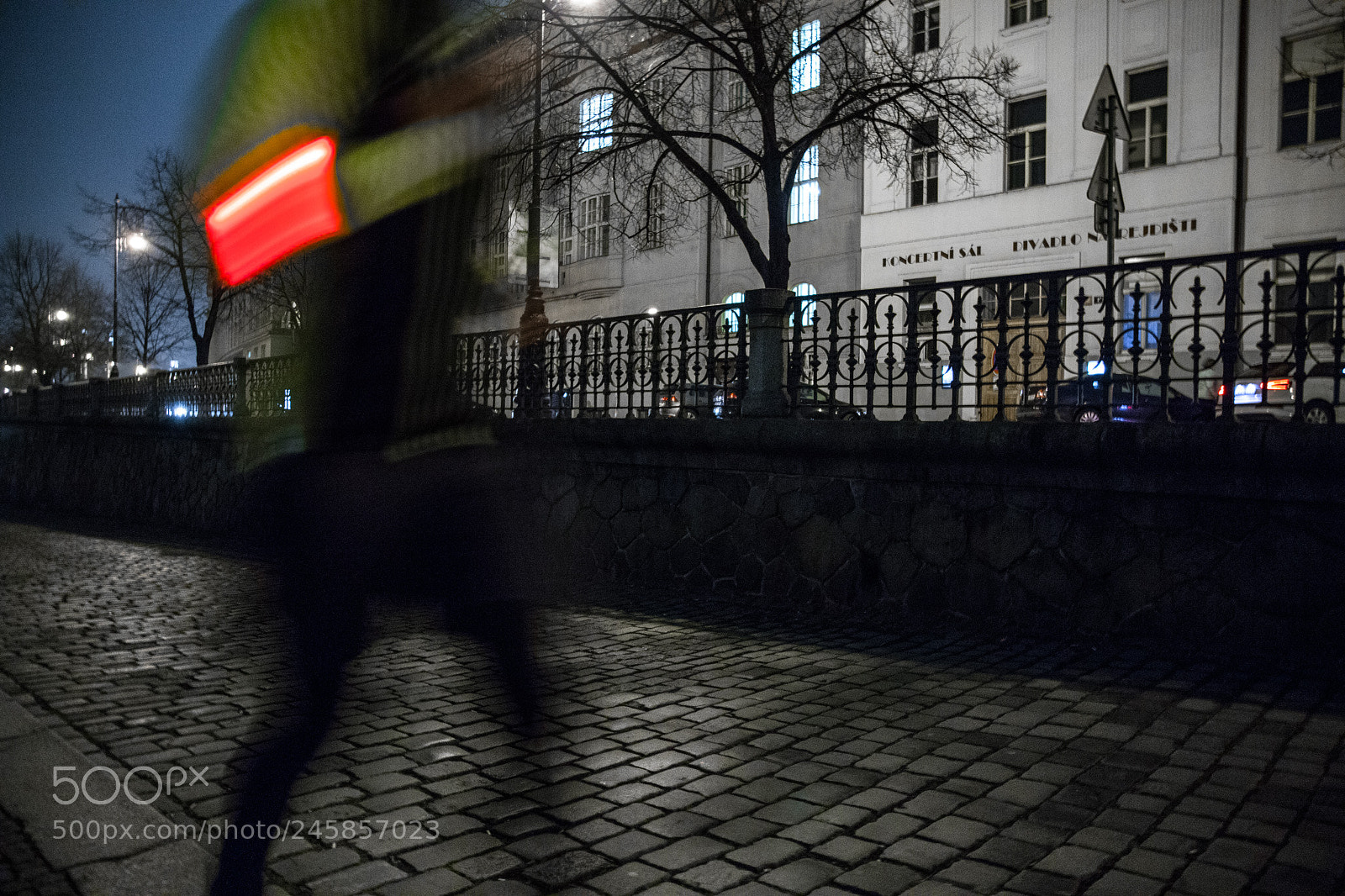 Canon EOS 6D Mark II sample photo. Night run photography