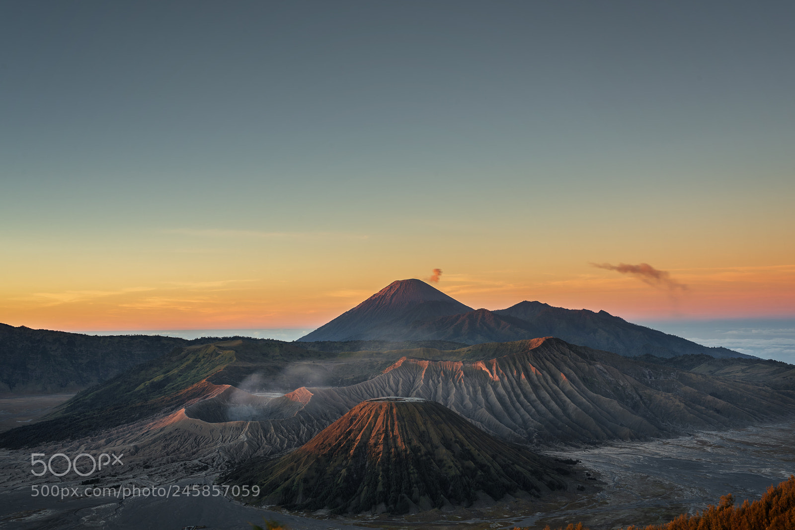 Nikon D800 sample photo. Majestic of mount bromo photography
