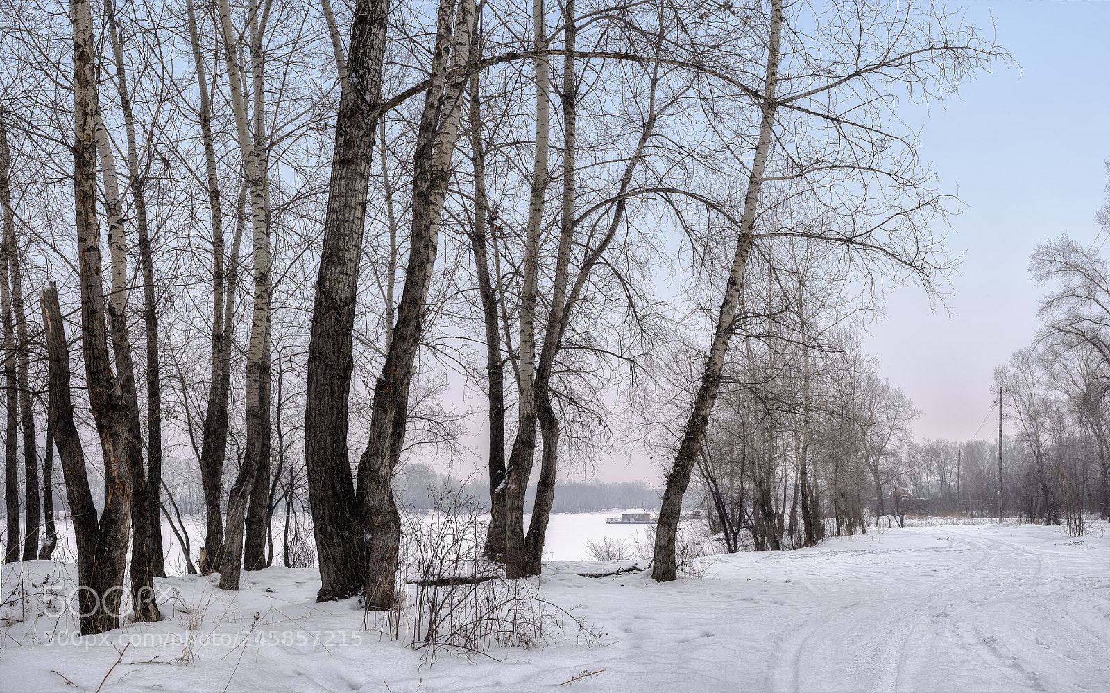 Nikon D610 sample photo. Winter. etude. photography