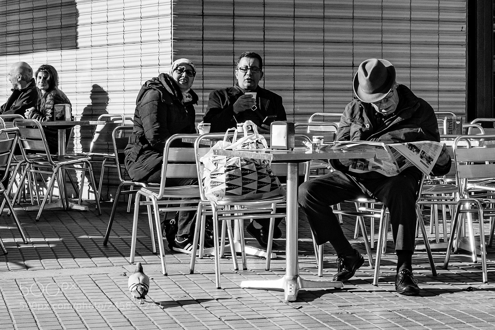 Fujifilm X-T10 sample photo. _dsf0031-2.jpg photography