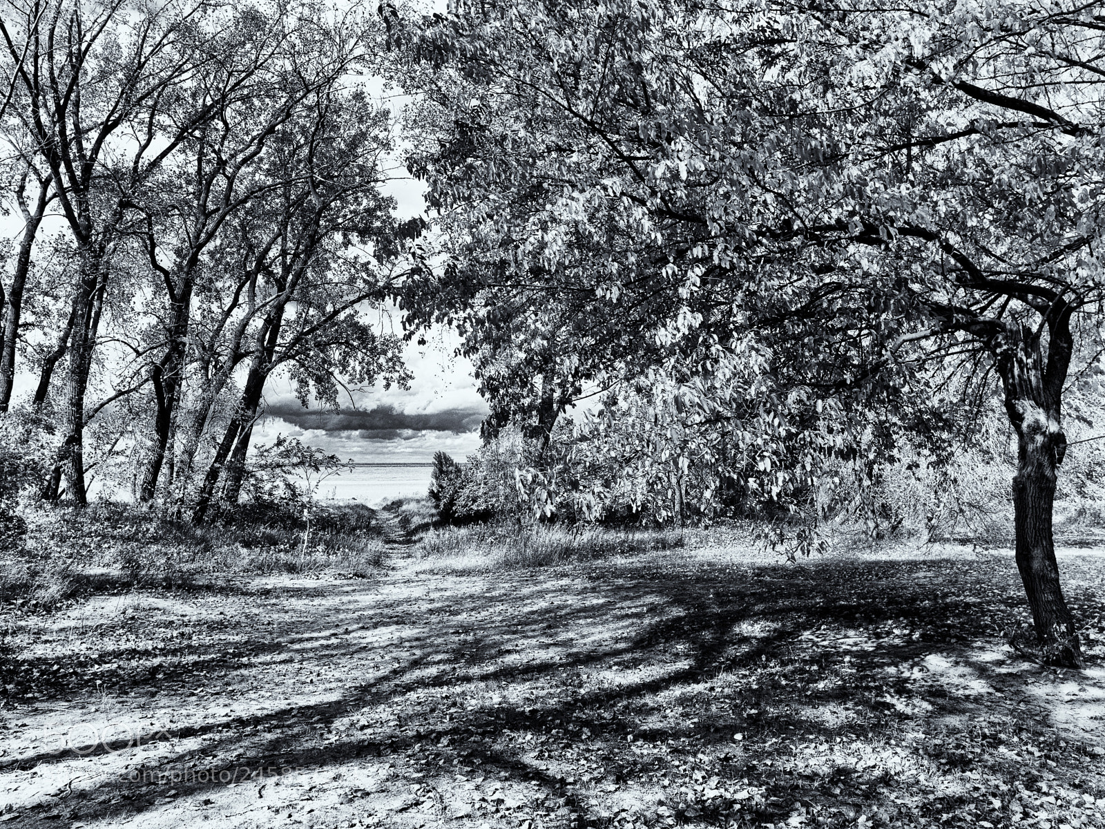 Olympus OM-D E-M10 II sample photo. The path to the photography