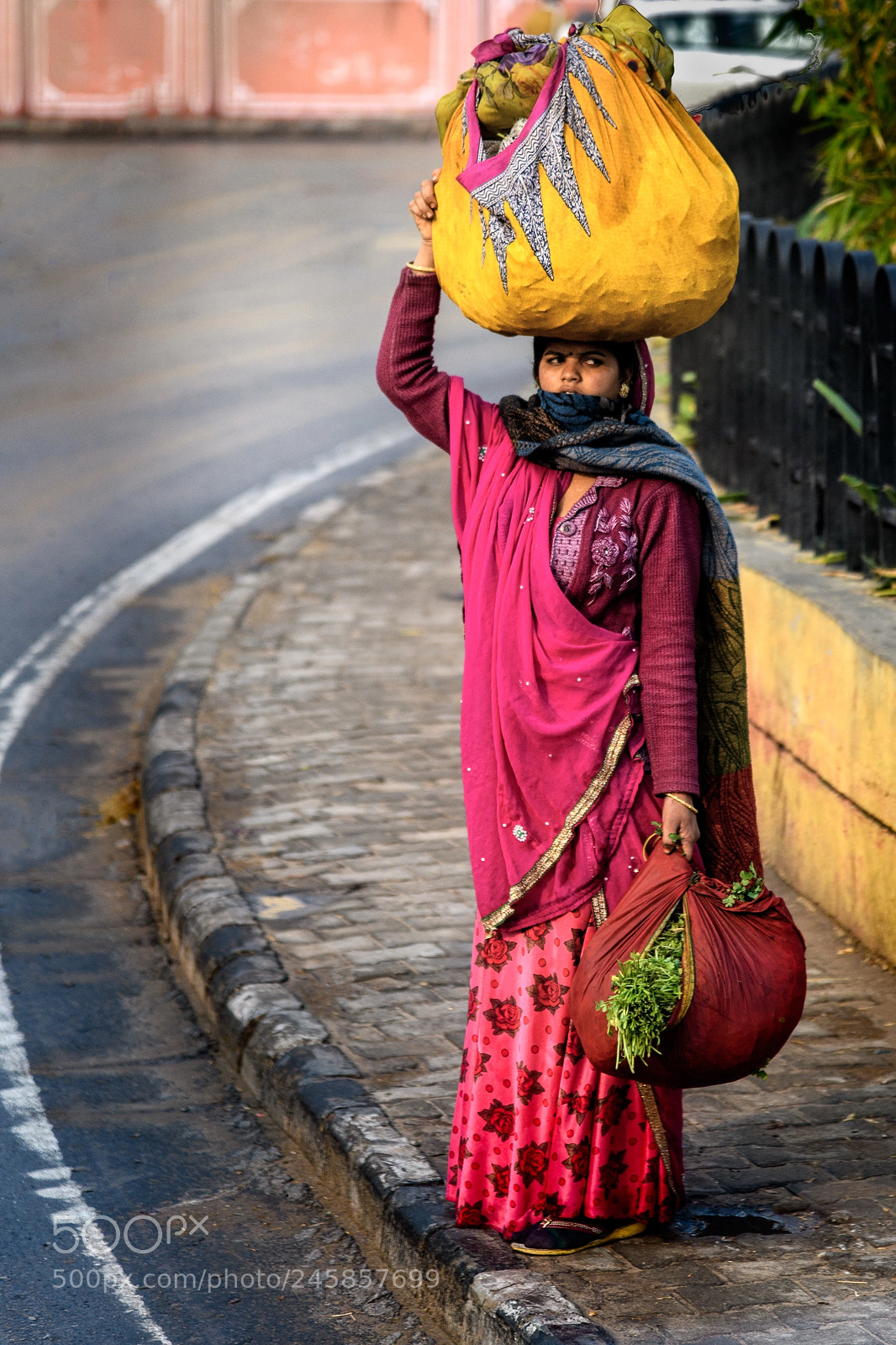 Nikon D850 sample photo. On the way to photography