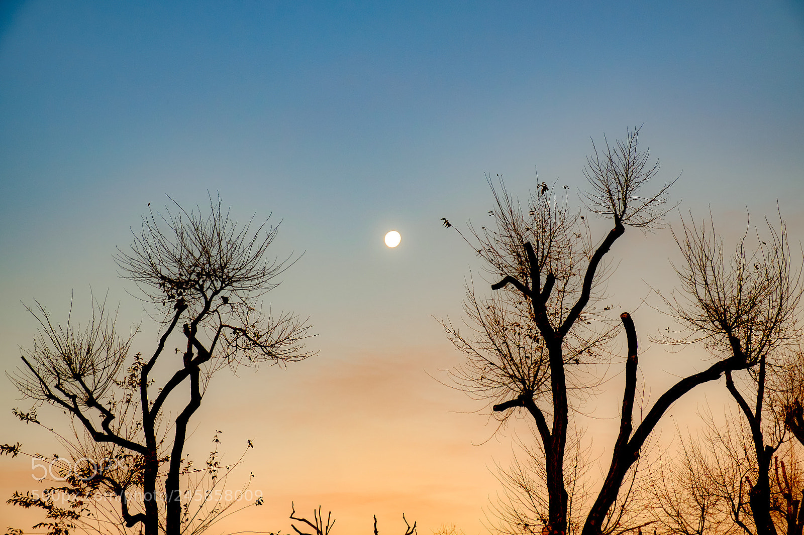 Fujifilm X-T10 sample photo. Dsf photography