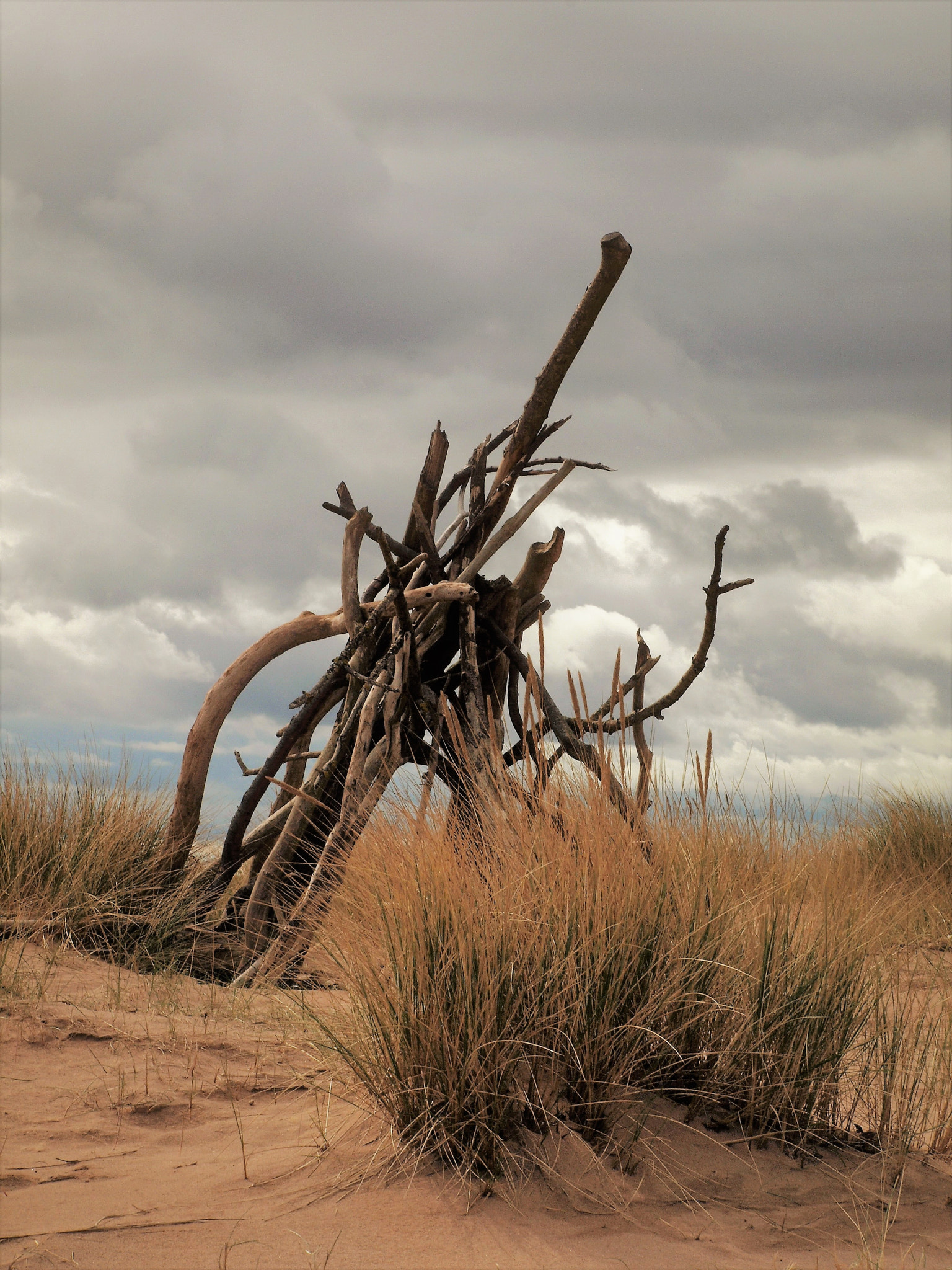 Olympus E-600 (EVOLT E-600) sample photo. Hut on the beach photography