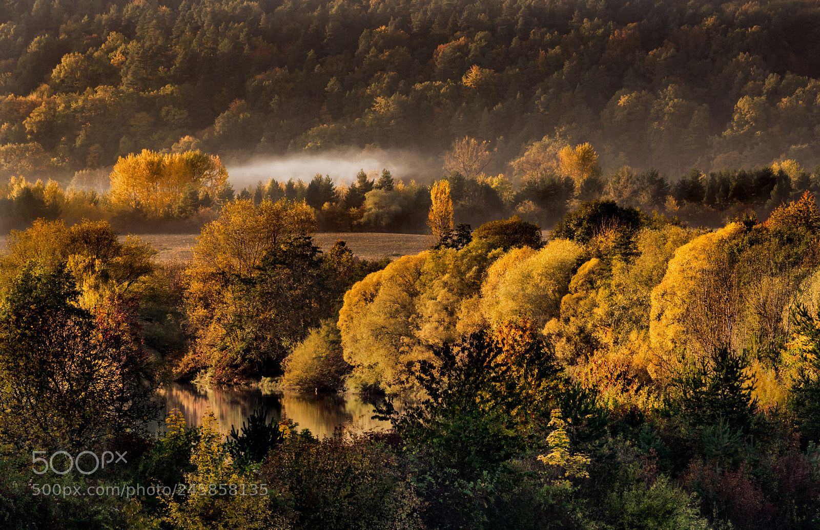 Pentax K-3 II sample photo. Fall photography