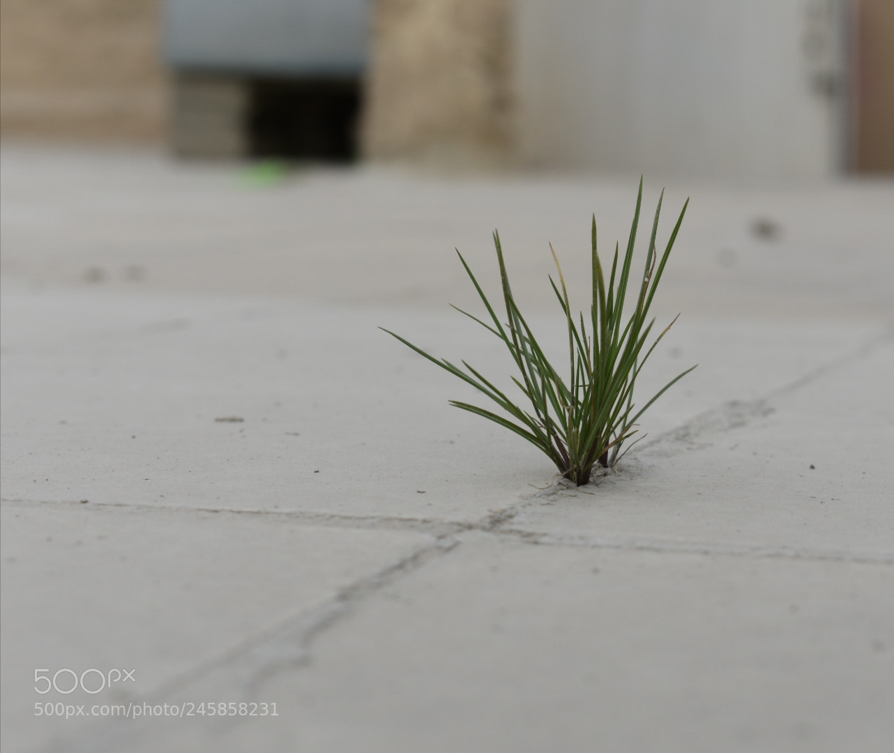 Nikon D3400 sample photo. Untitled photography