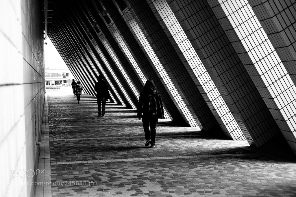 Fujifilm X-T1 sample photo. Into the light. photography