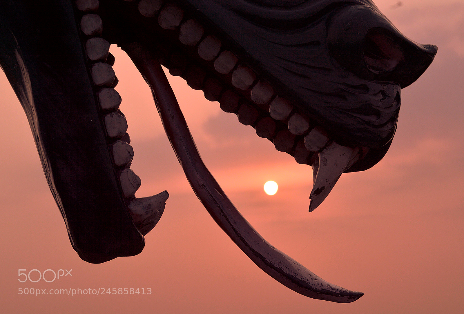 Nikon D3200 sample photo. Dragon photography