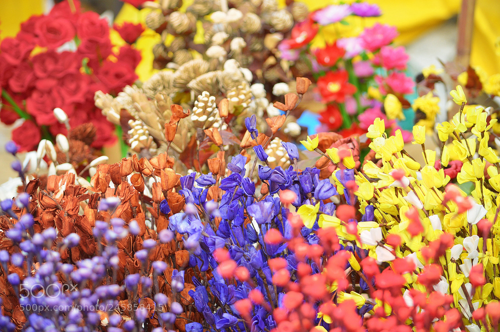 Nikon D3200 sample photo. Colors photography
