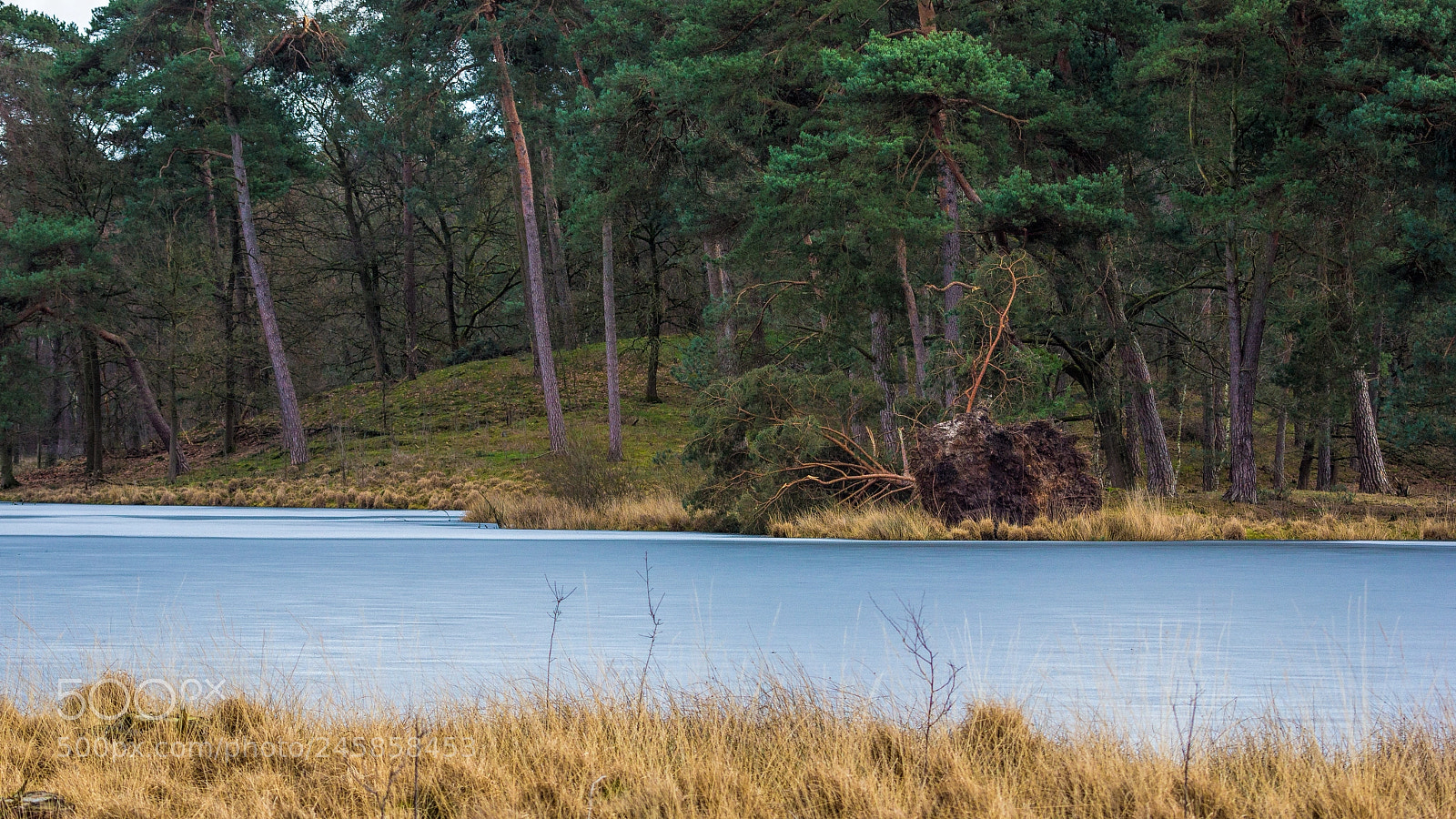 Canon EOS 60D sample photo. Frozen lake photography