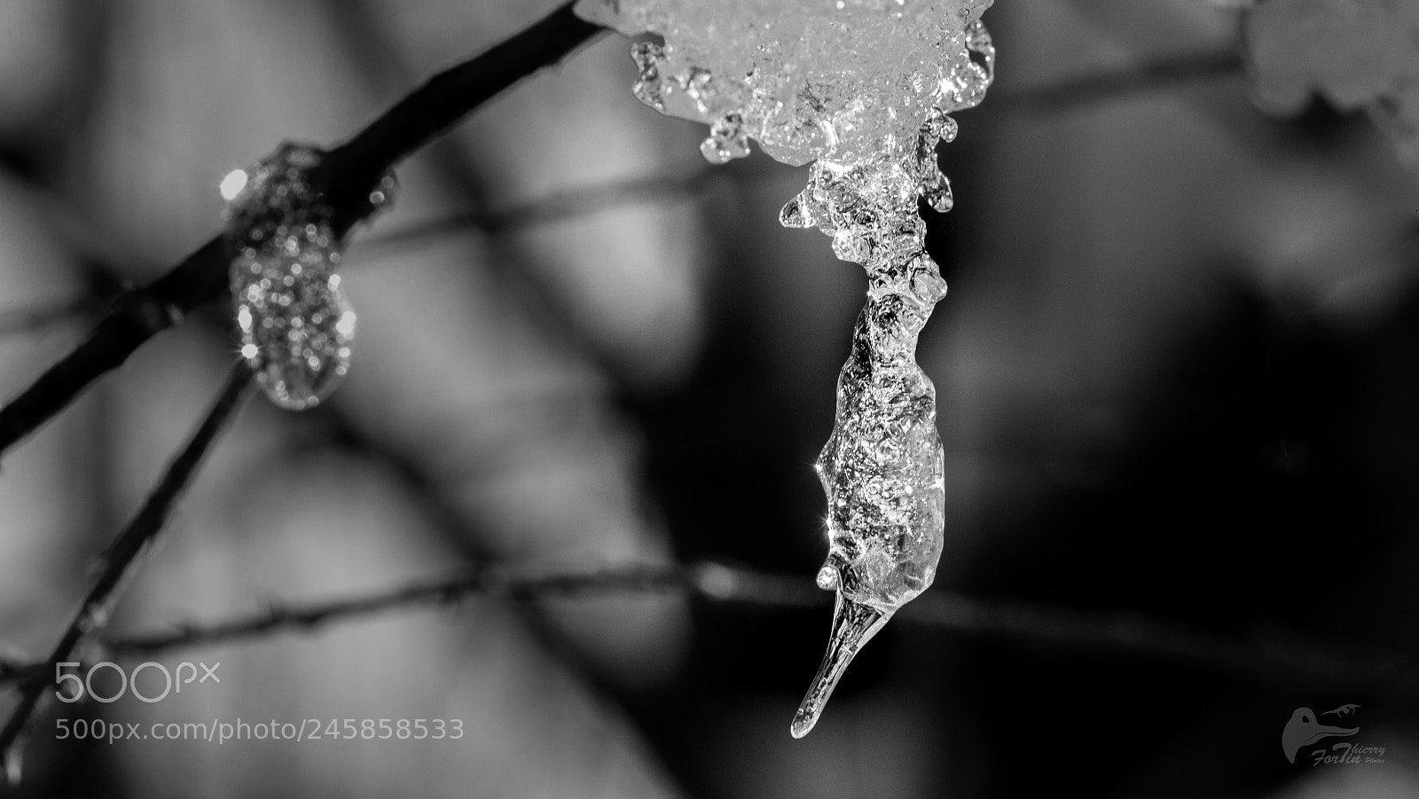 Canon EOS 700D (EOS Rebel T5i / EOS Kiss X7i) sample photo. Ice wb photography