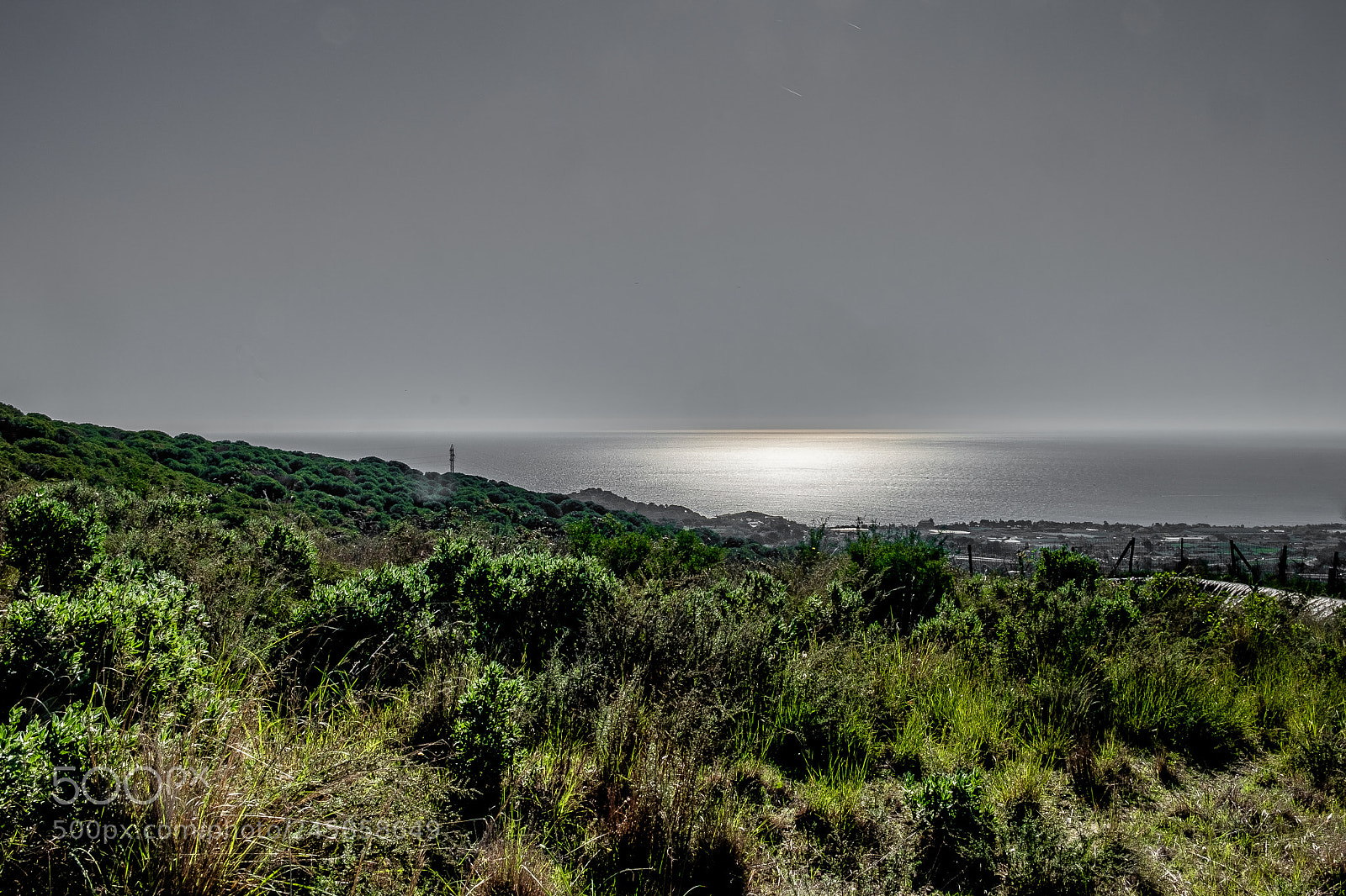 Fujifilm X-T10 sample photo. Dsf photography