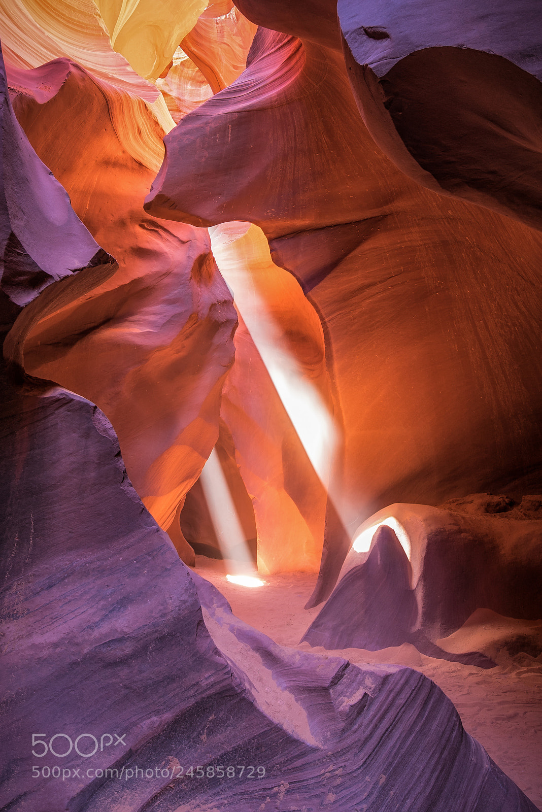 Nikon D810 sample photo. Beaming chief photography