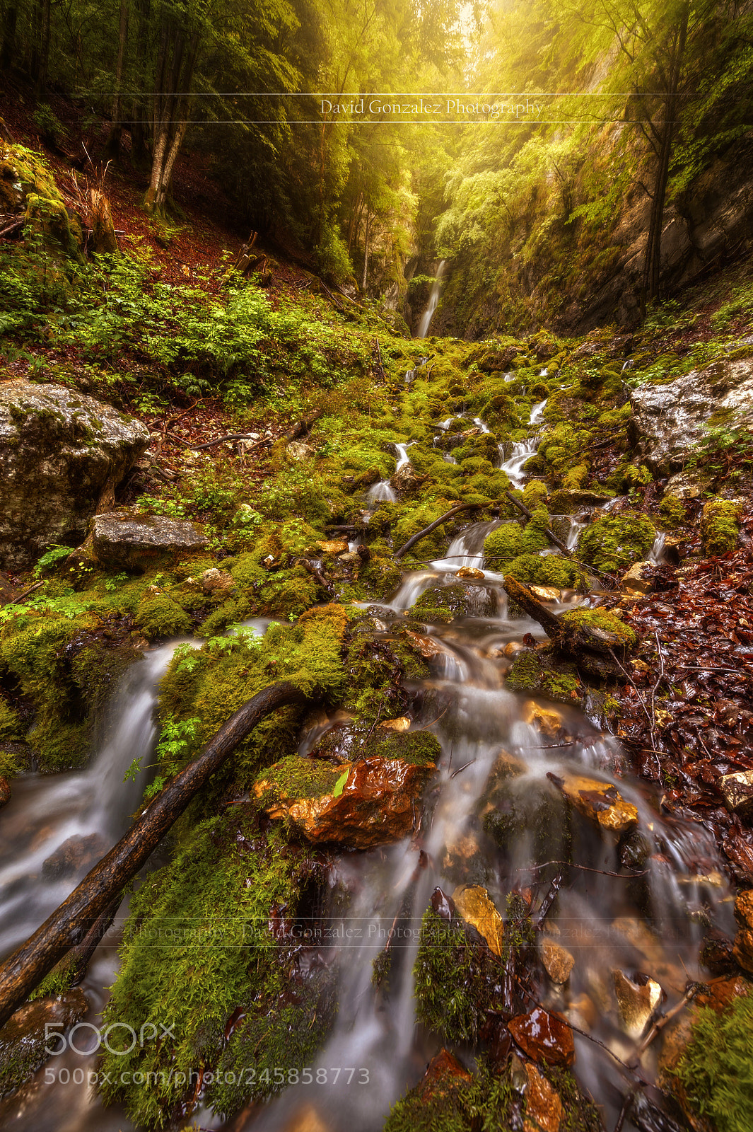 Nikon D700 sample photo. Waterfall at sunset photography