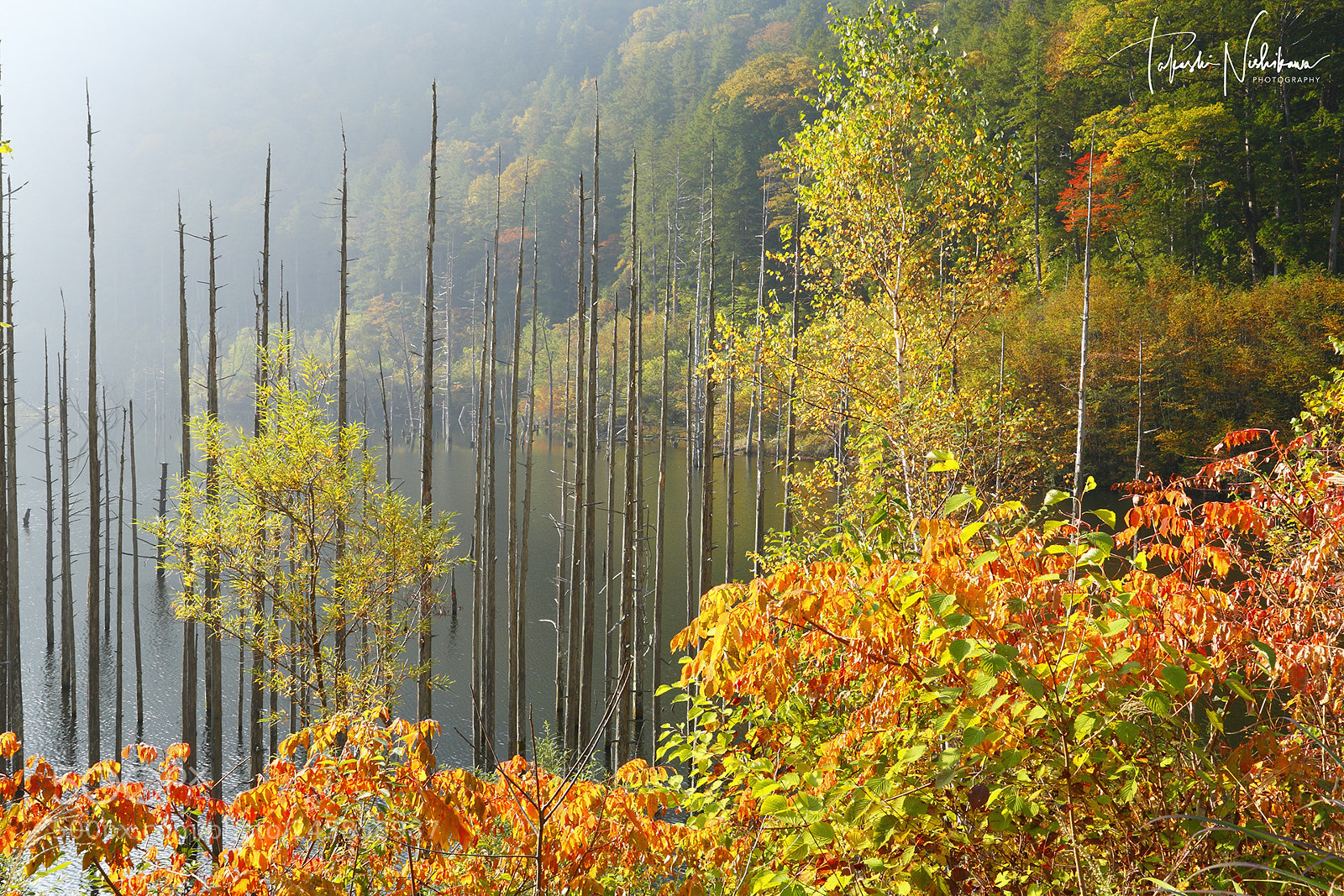 Canon EOS 5D sample photo. Fog natural lake and photography