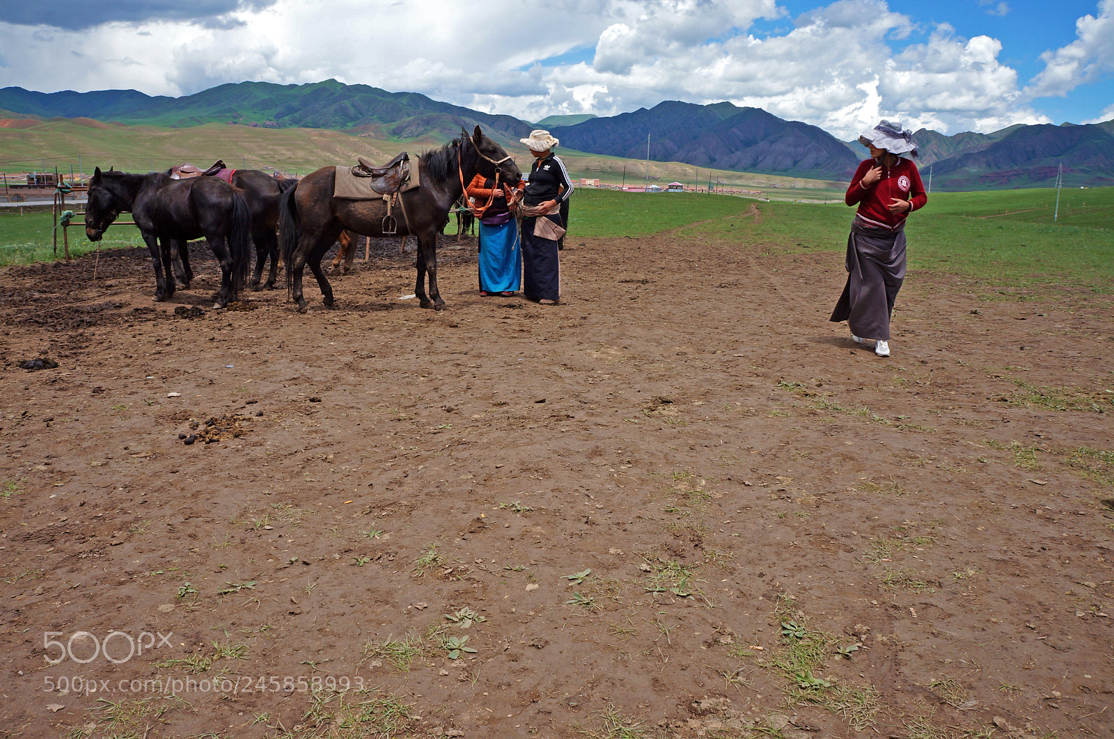 Sony Alpha NEX-F3 sample photo. Gannan grassland photography