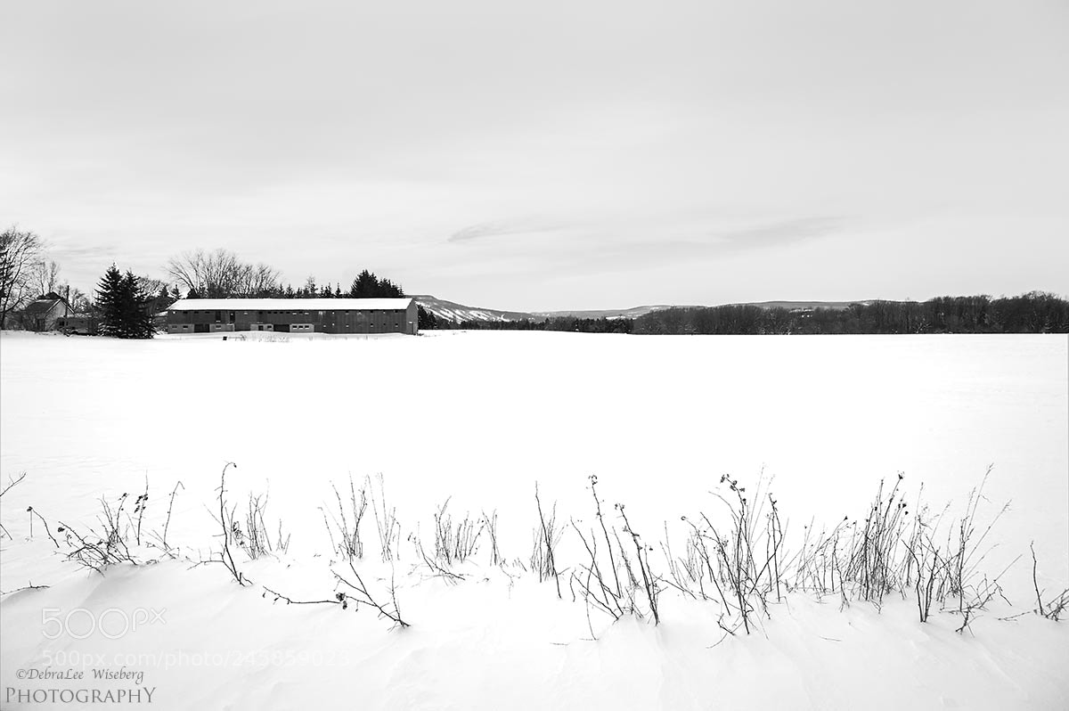 Nikon D700 sample photo. Open ground photography