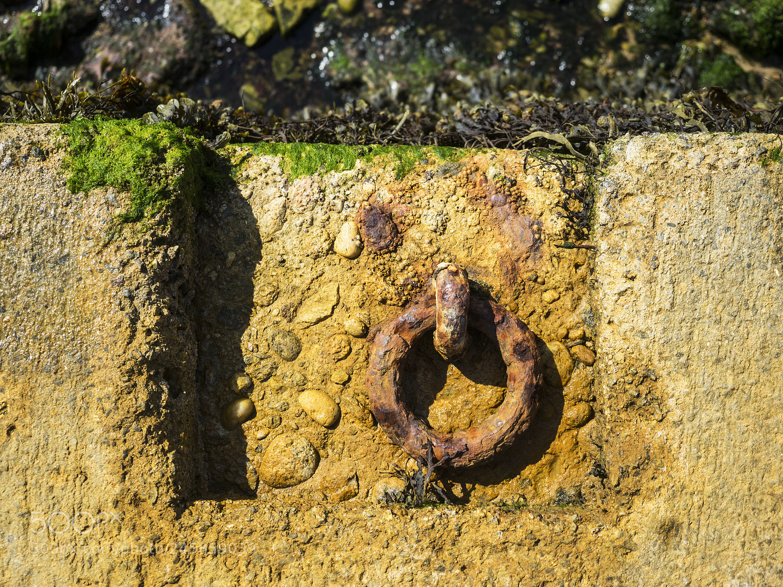 Olympus OM-D E-M10 sample photo. Forces of time photography