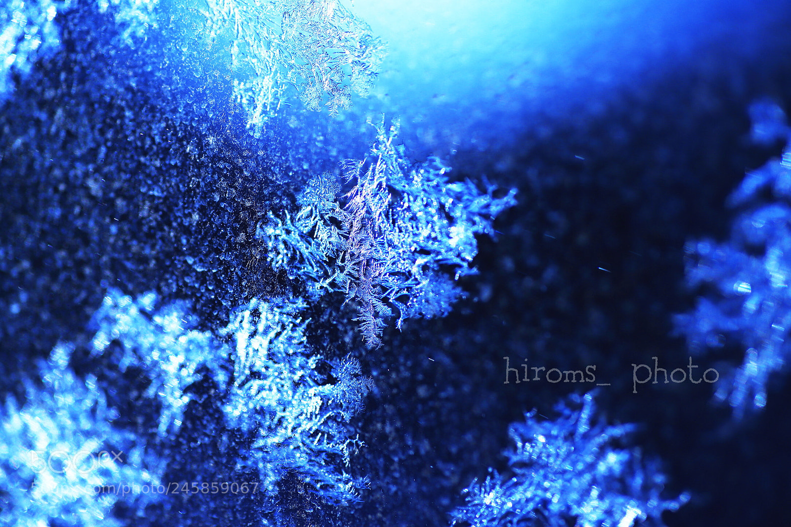 Canon EOS 6D Mark II sample photo. Ice crystals photography