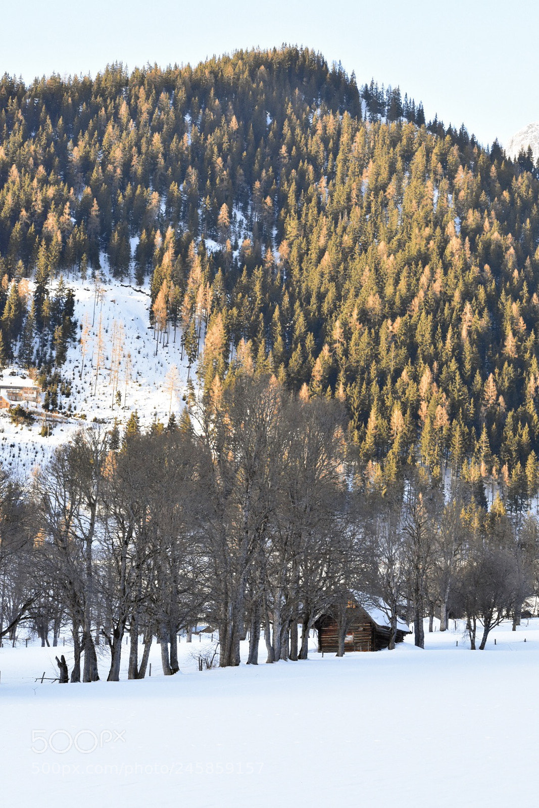 Nikon D3400 sample photo. Cabin @ ramsau am dachstein photography