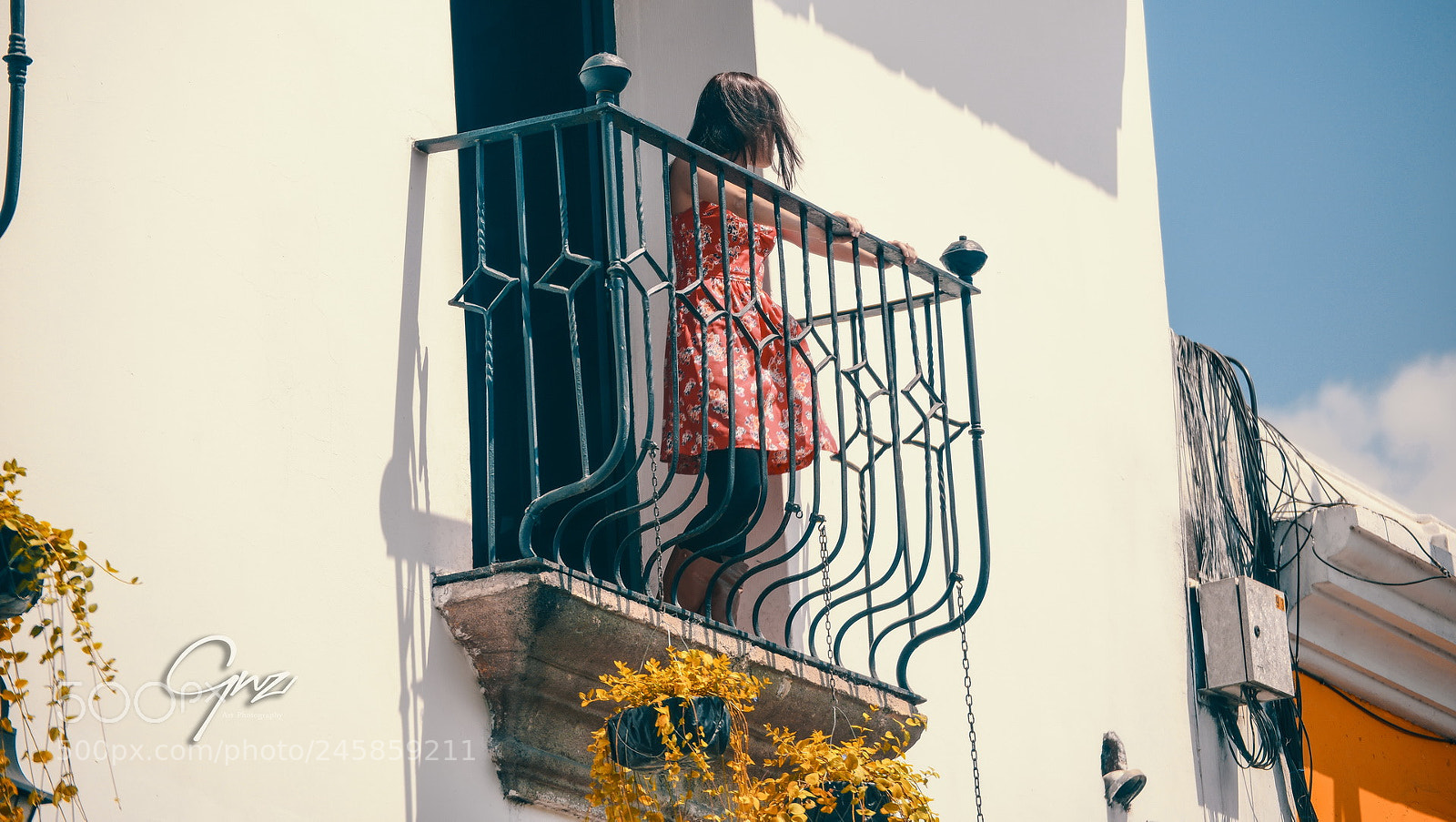 Nikon D800E sample photo. Red photography