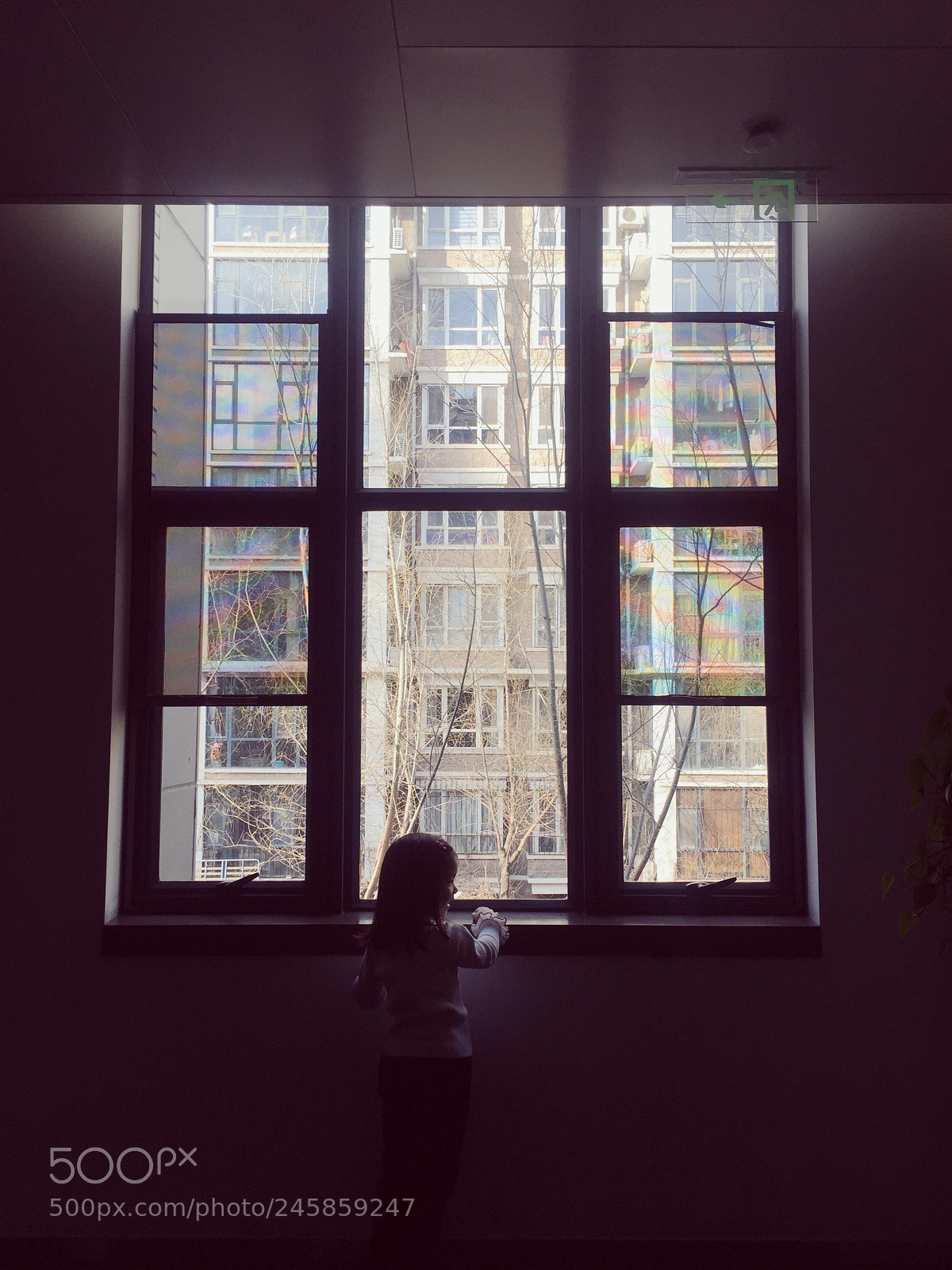 Apple iPhone 6 sample photo. 窗前 photography