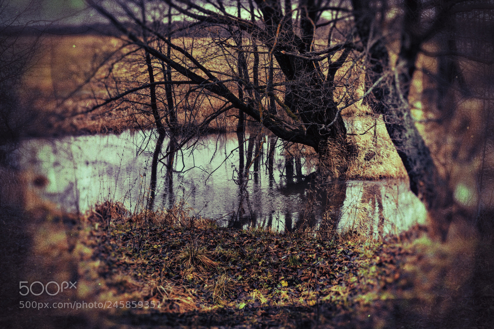 Canon EOS 60D sample photo. F.a. photography