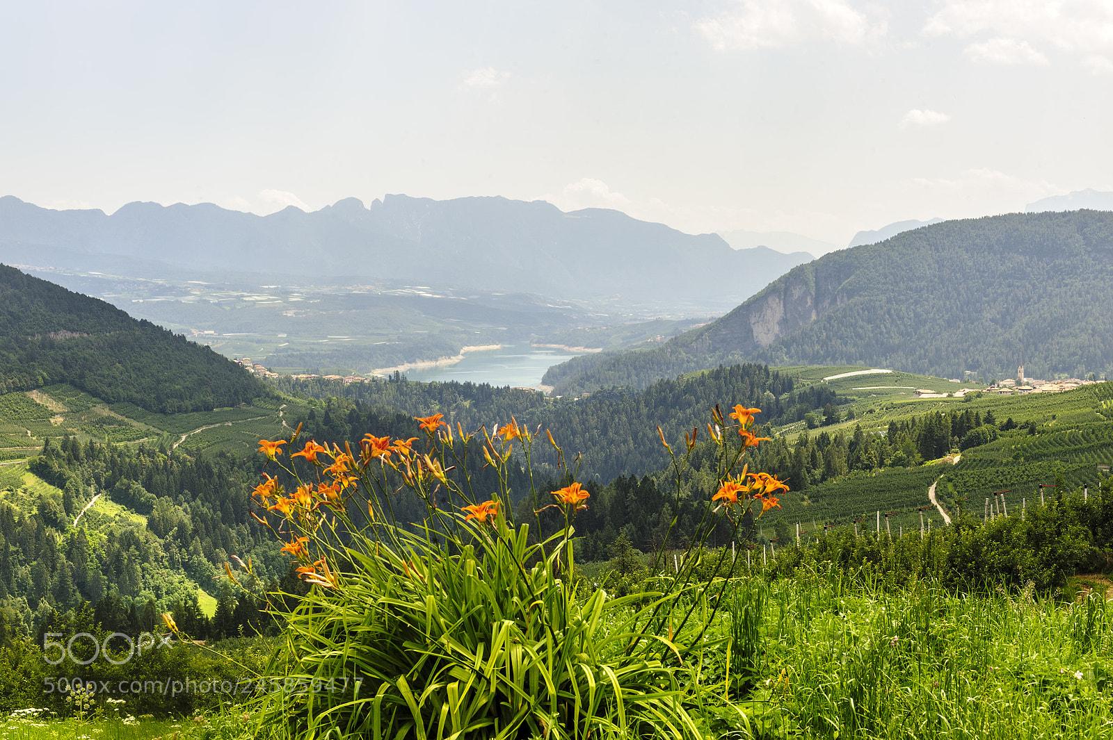 Nikon D700 sample photo. Val di non (trento) photography