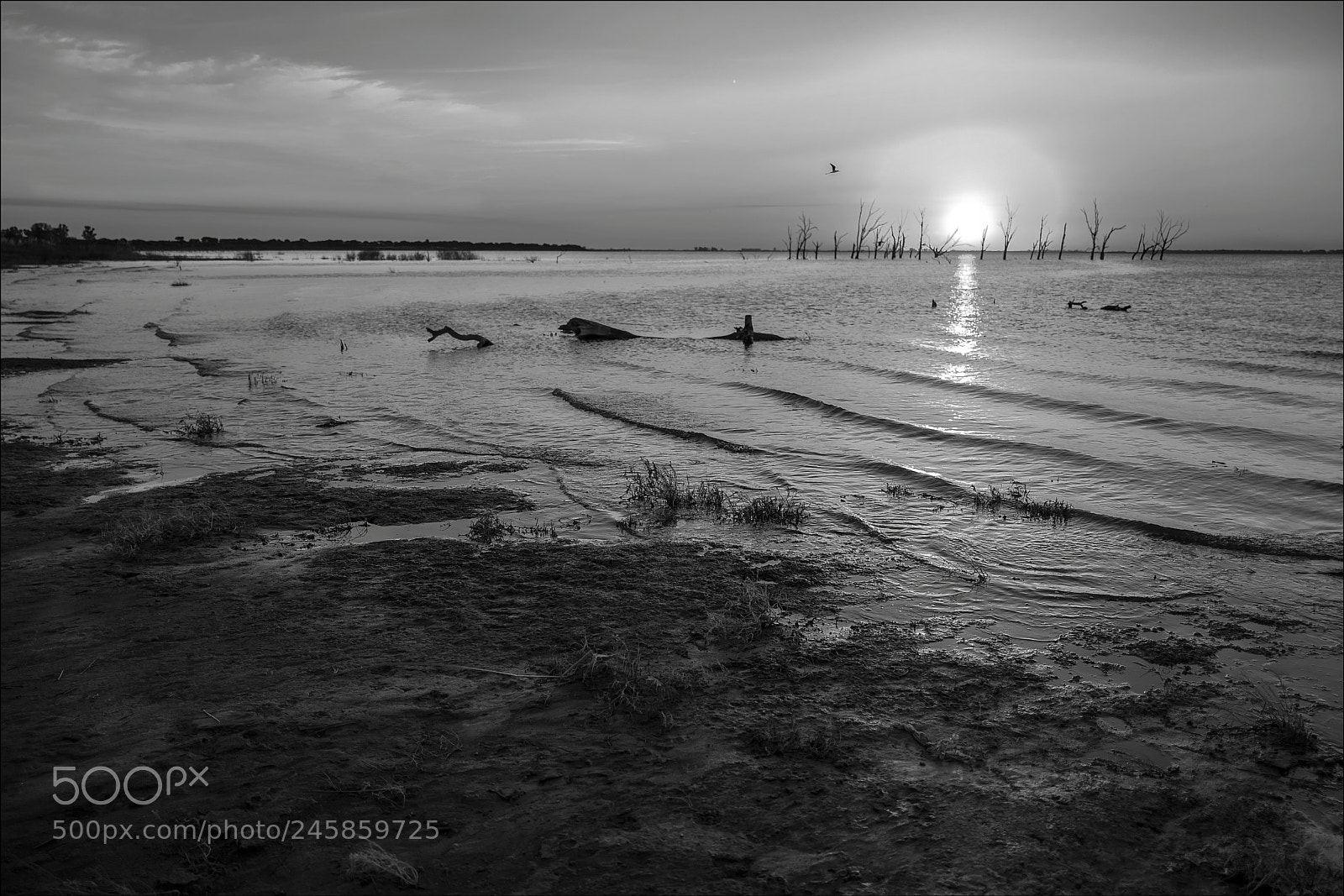 Leica Q (Typ 116) sample photo. Mar de ansenuza photography