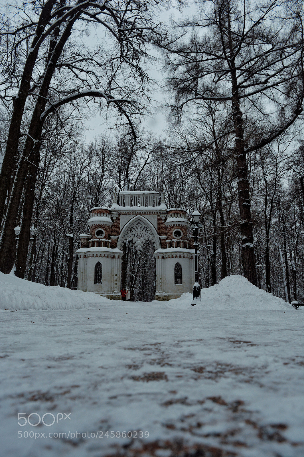 Nikon D5200 sample photo. Tsaritsyno photography